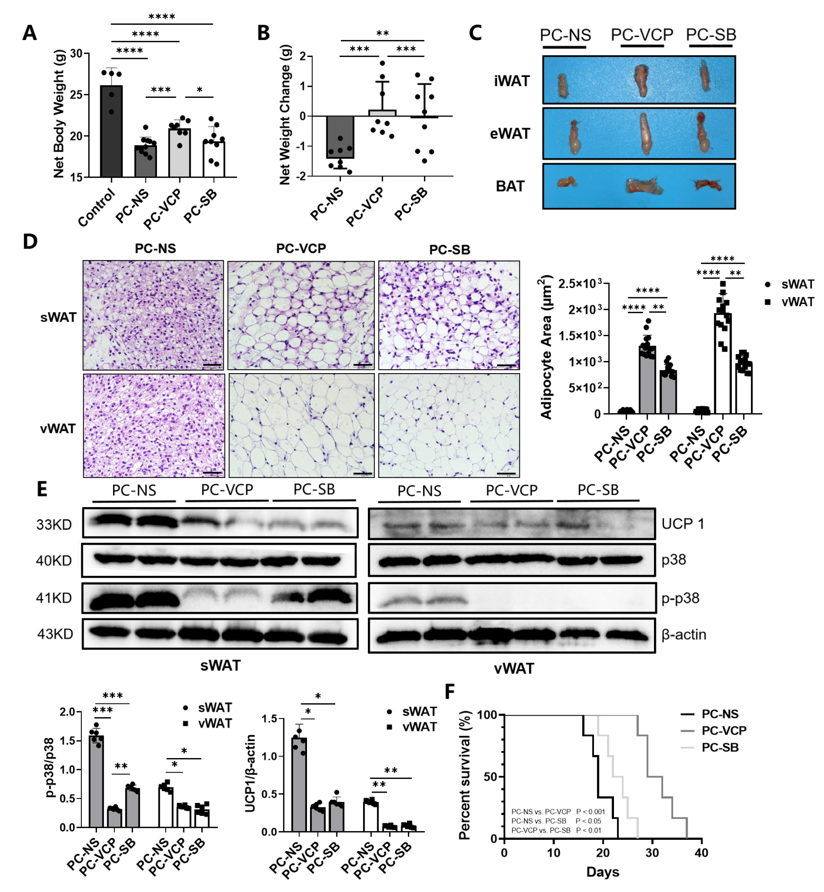 Nutrients 14 03013 g005