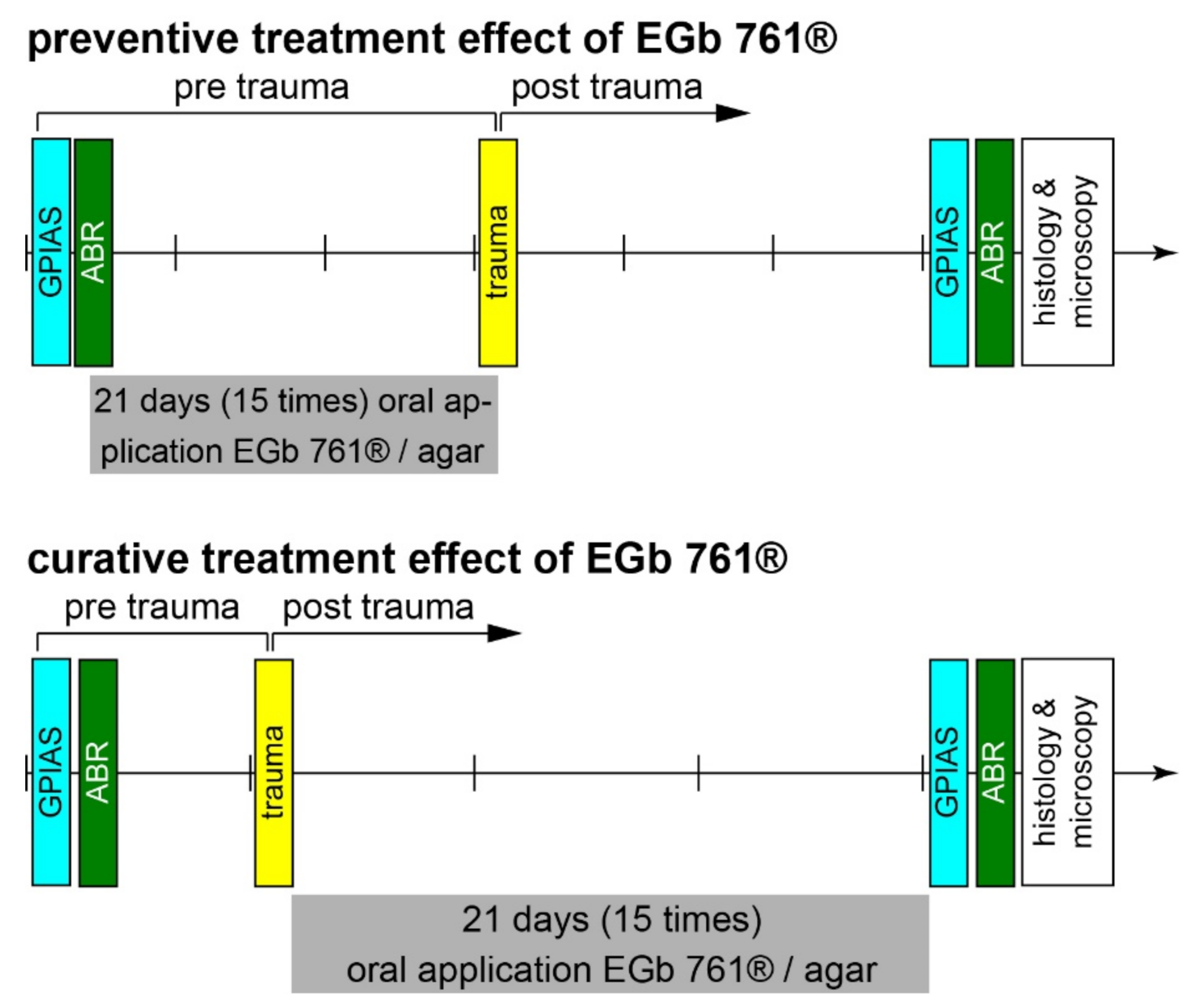 Preventive Effects of Ginkgo-Extract EGb 761® on Noise