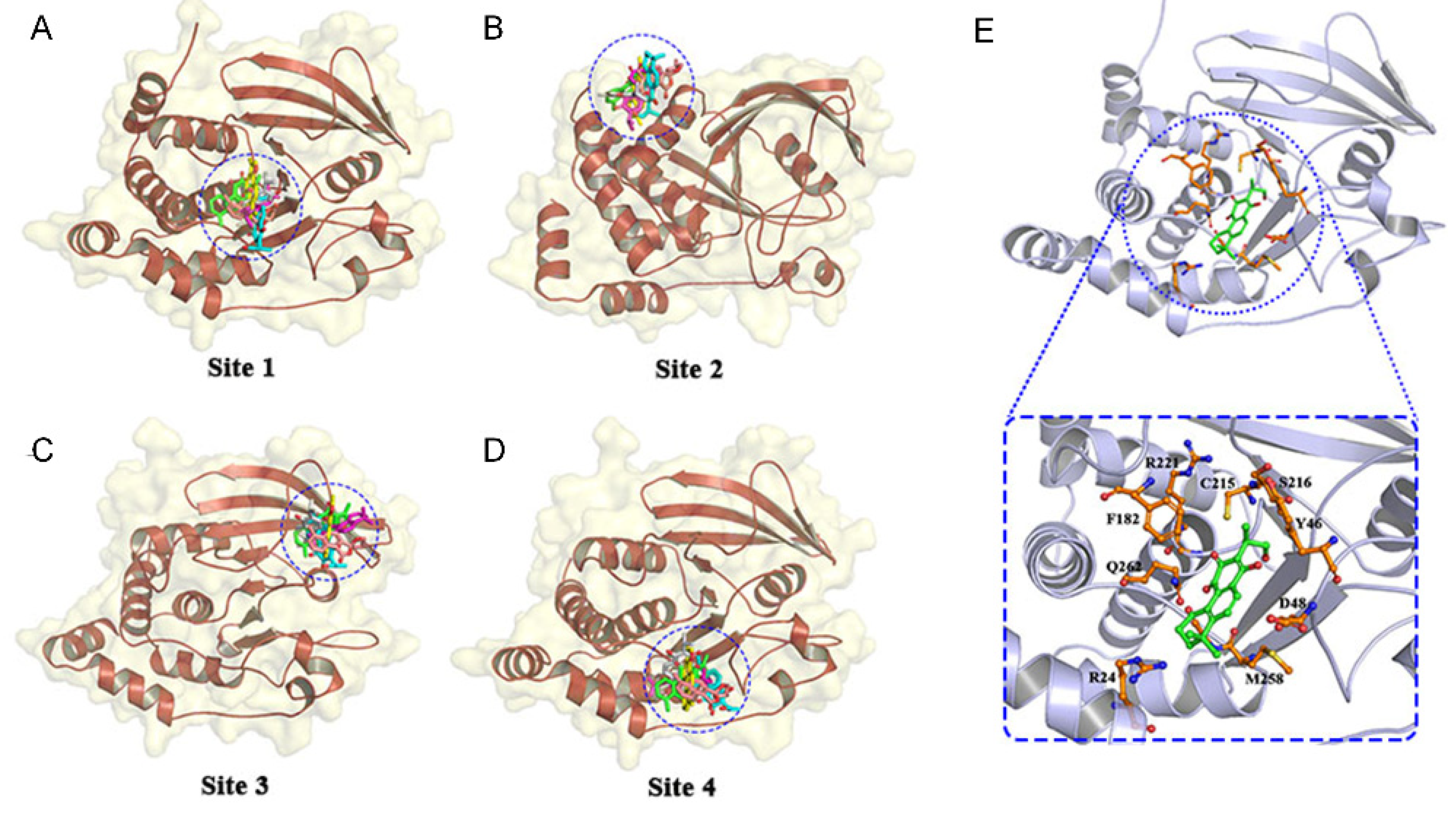 Nutrients 14 03031 g001 550