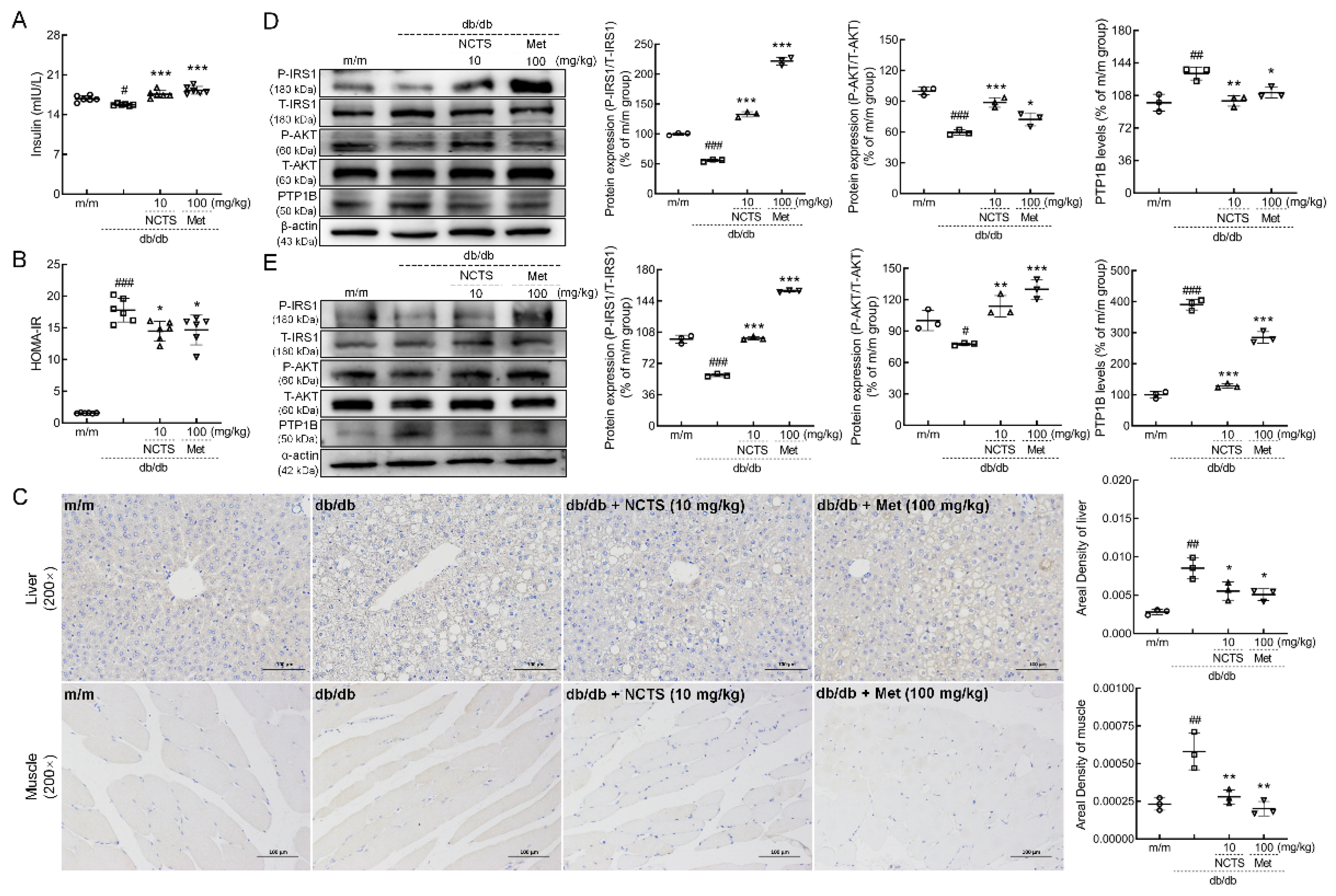 Nutrients 14 03031 g004 550