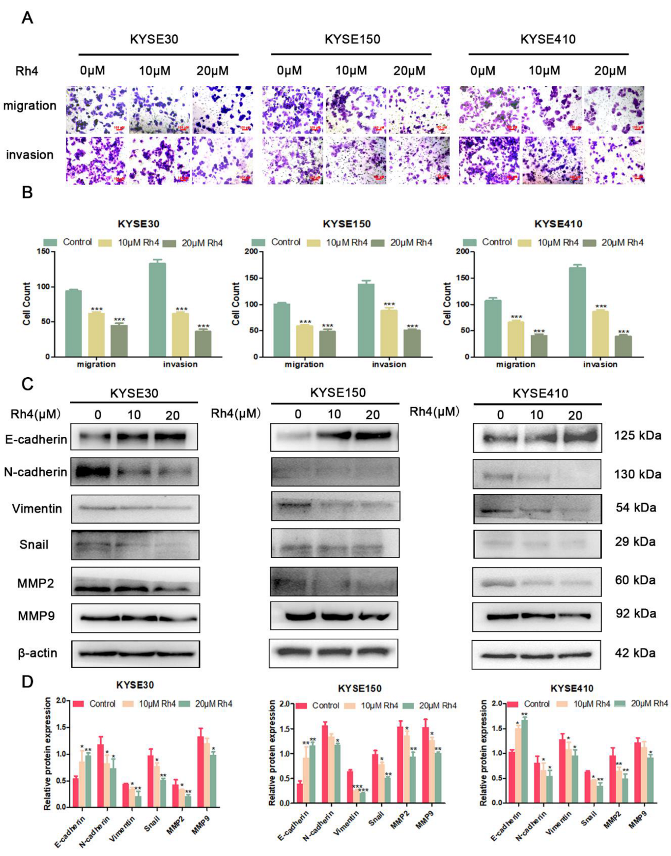 Nutrients 14 03042 g002 550