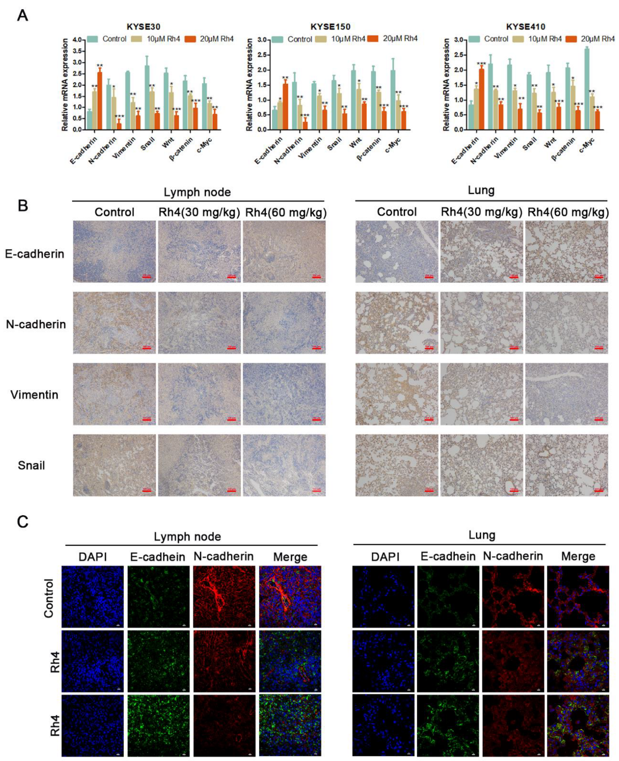 Nutrients 14 03042 g003 550