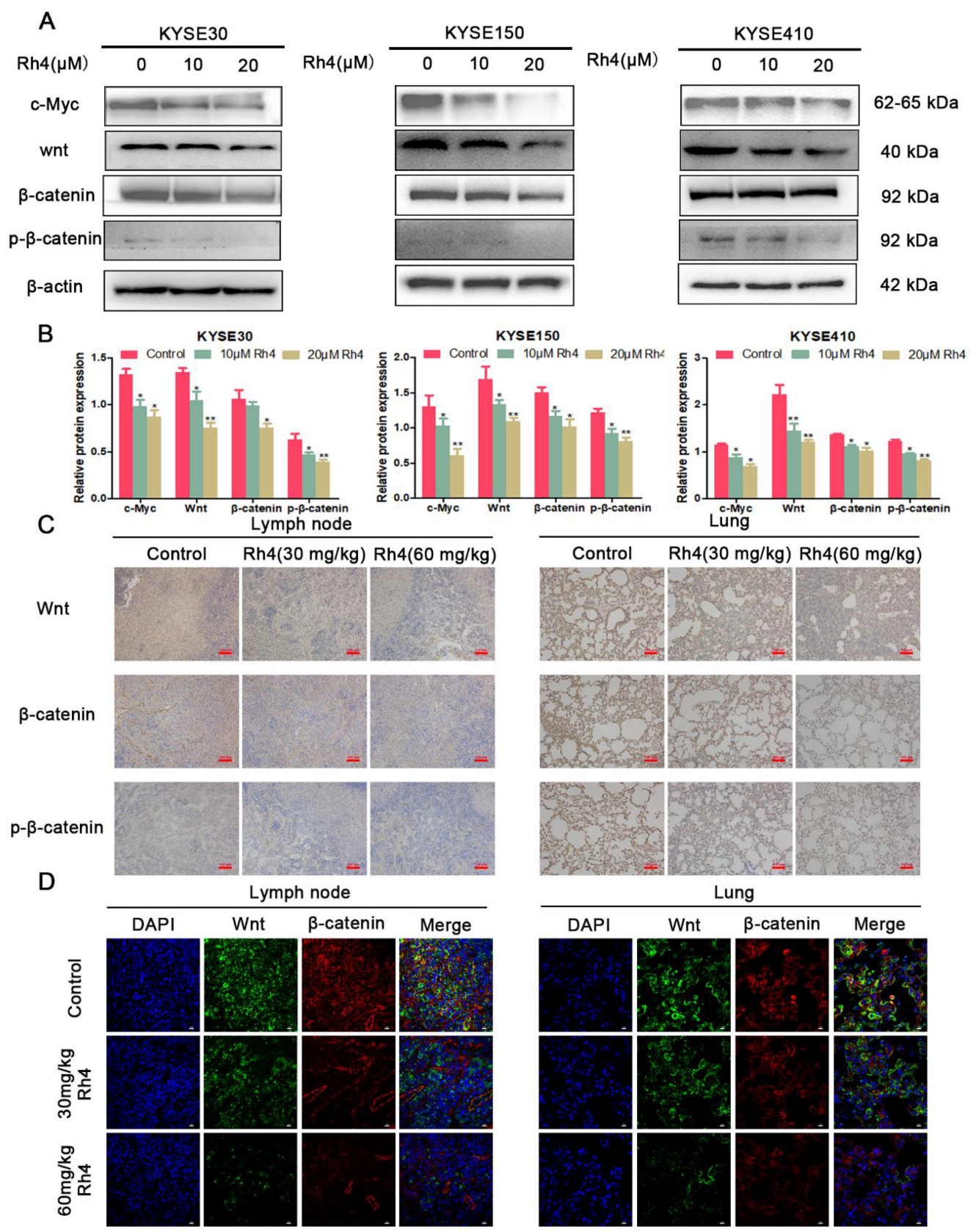 Nutrients 14 03042 g006 550