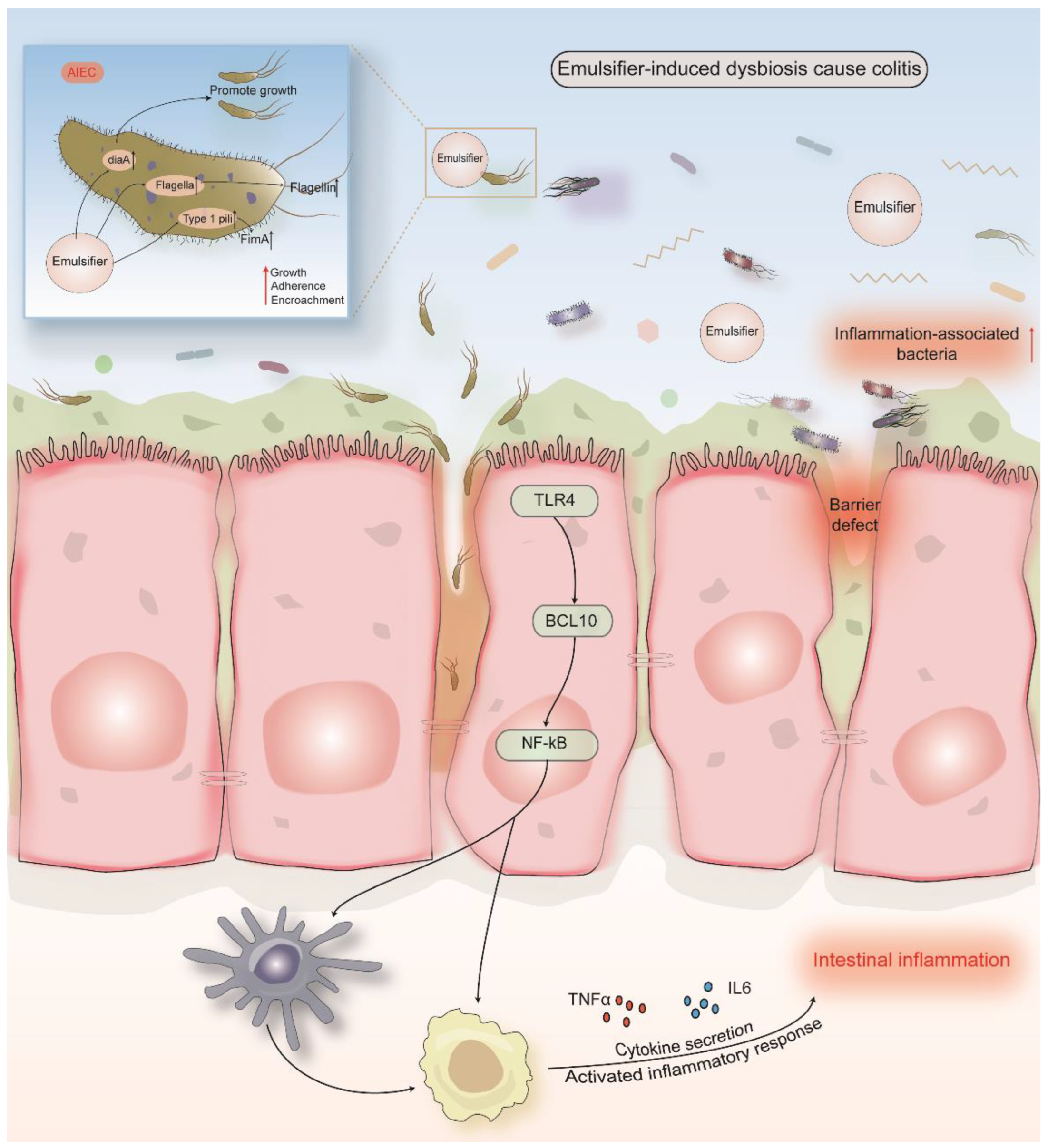 Nutrients 14 03049 g002