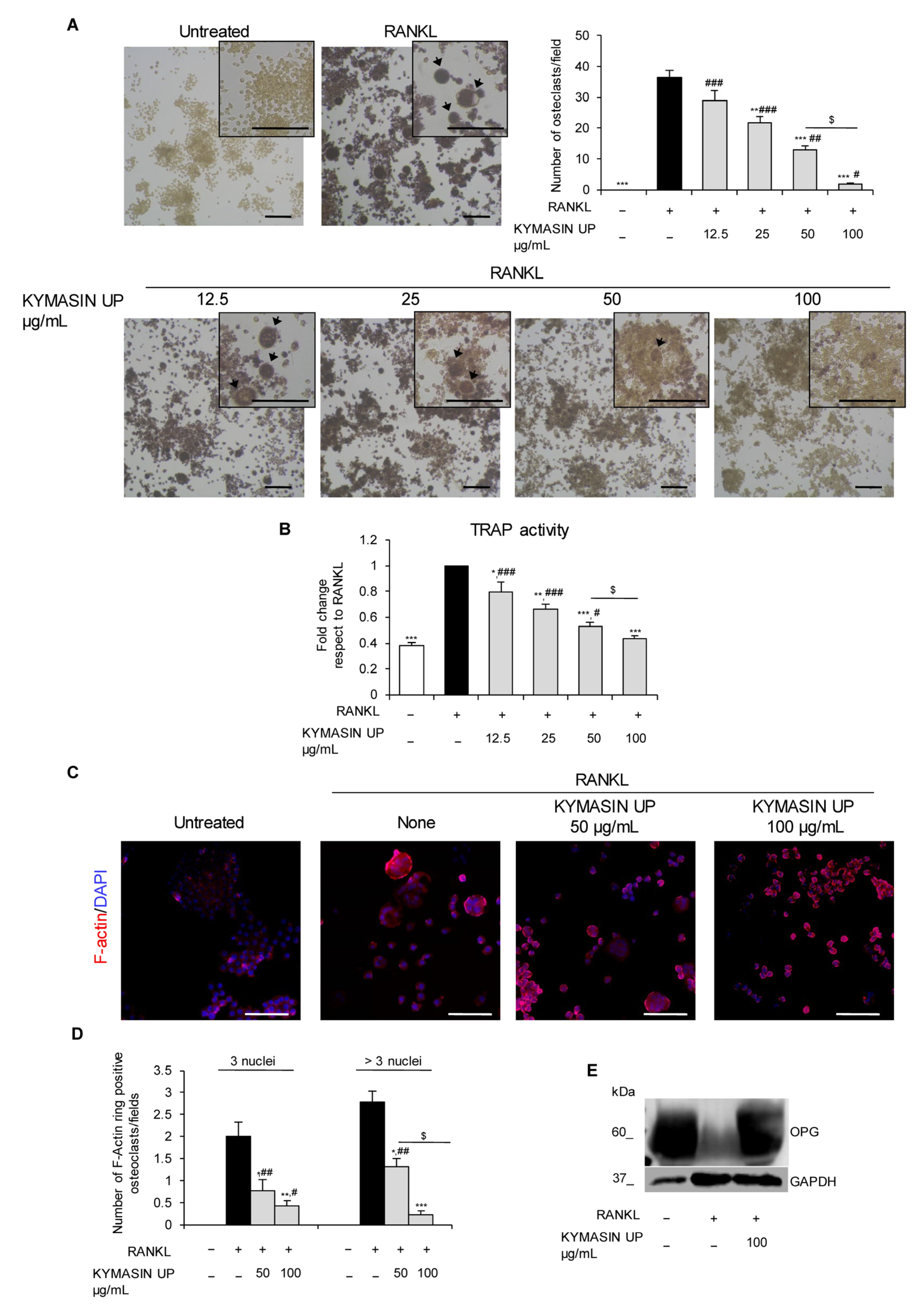 Nutrients 14 03053 g002 Nutrients 14 03053 g002