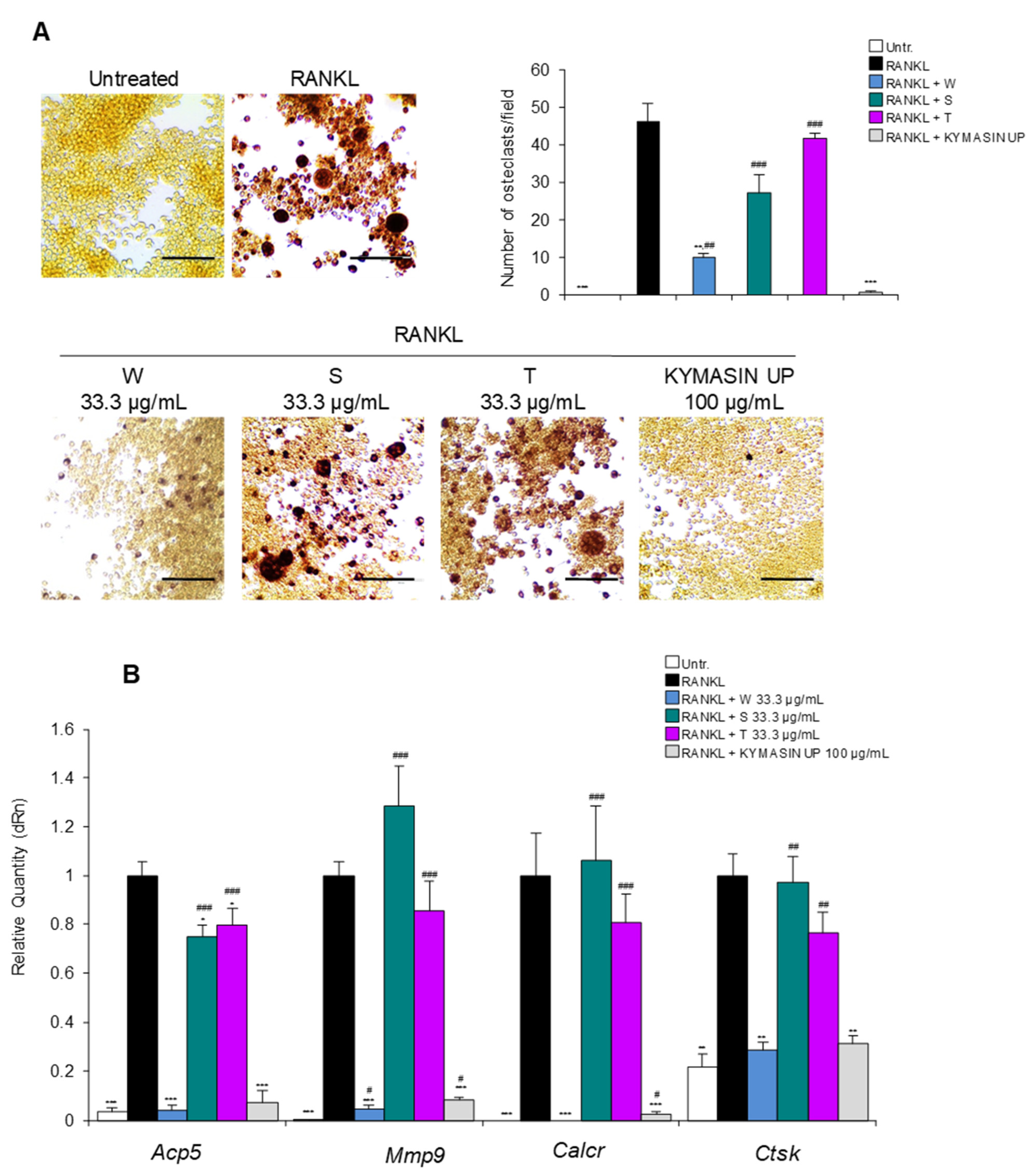 Nutrients 14 03053 g003 Nutrients 14 03053 g003