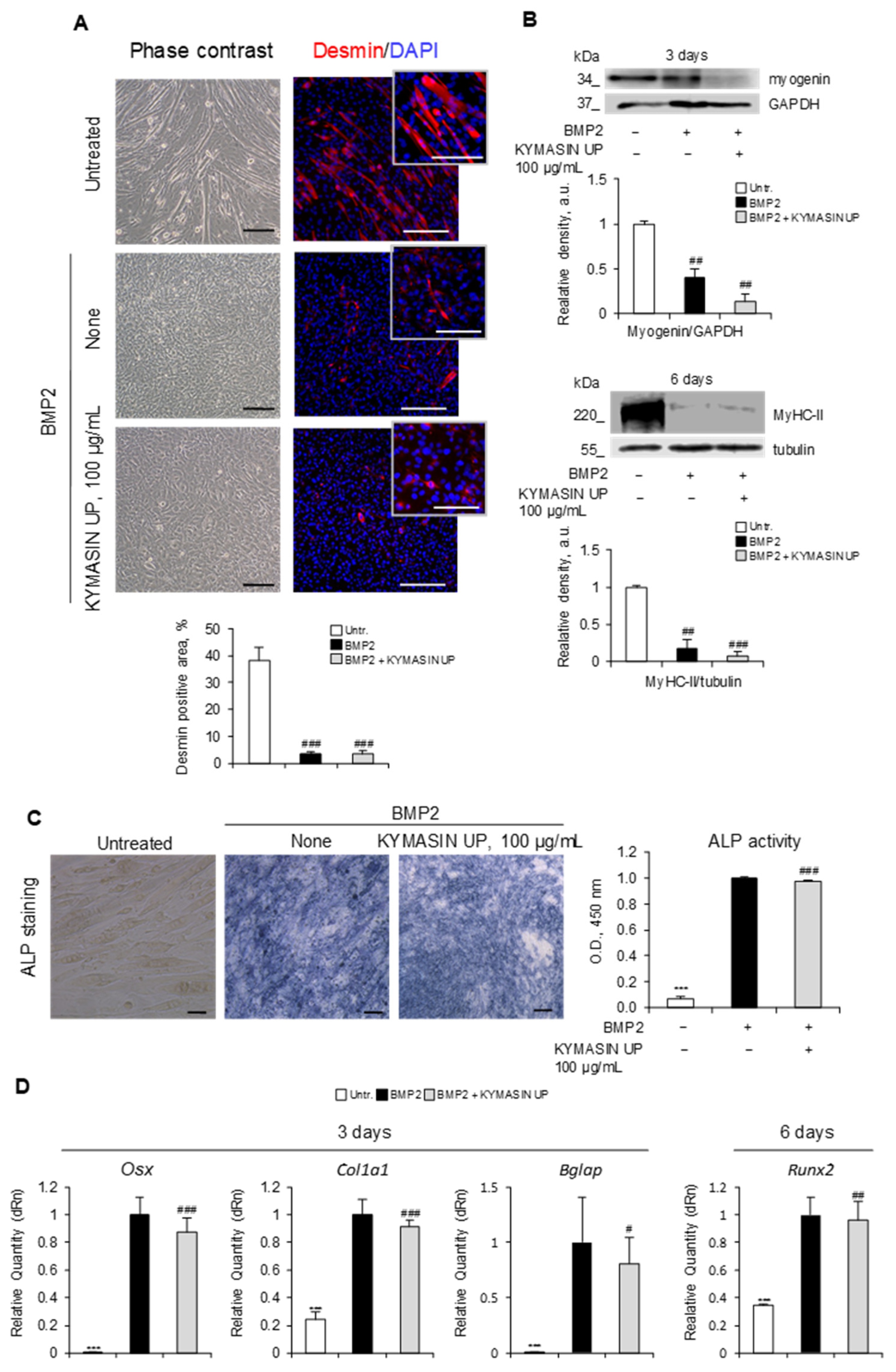 Nutrients 14 03053 g004 Nutrients 14 03053 g004
