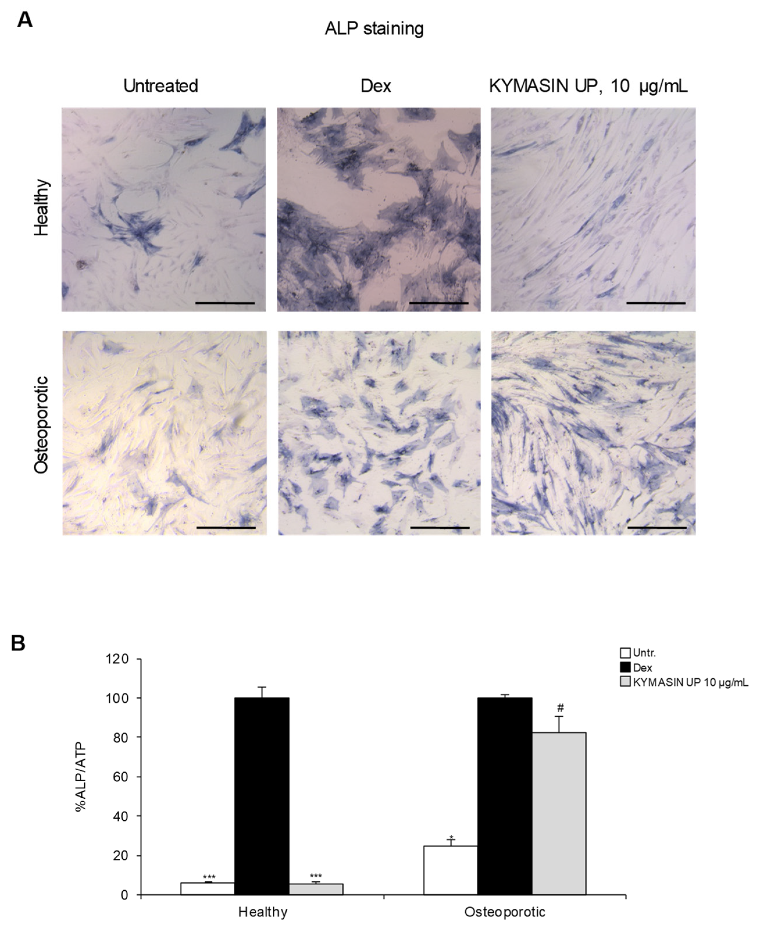 Nutrients 14 03053 g006 Nutrients 14 03053 g006