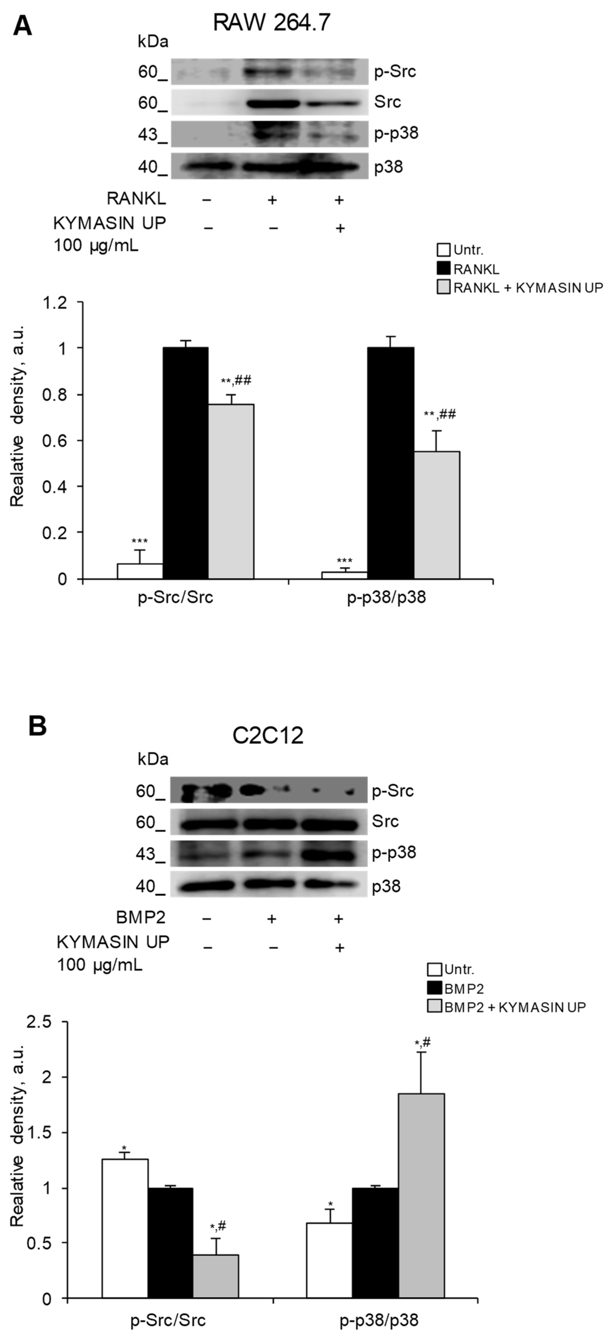 Nutrients 14 03053 g007 Nutrients 14 03053 g007
