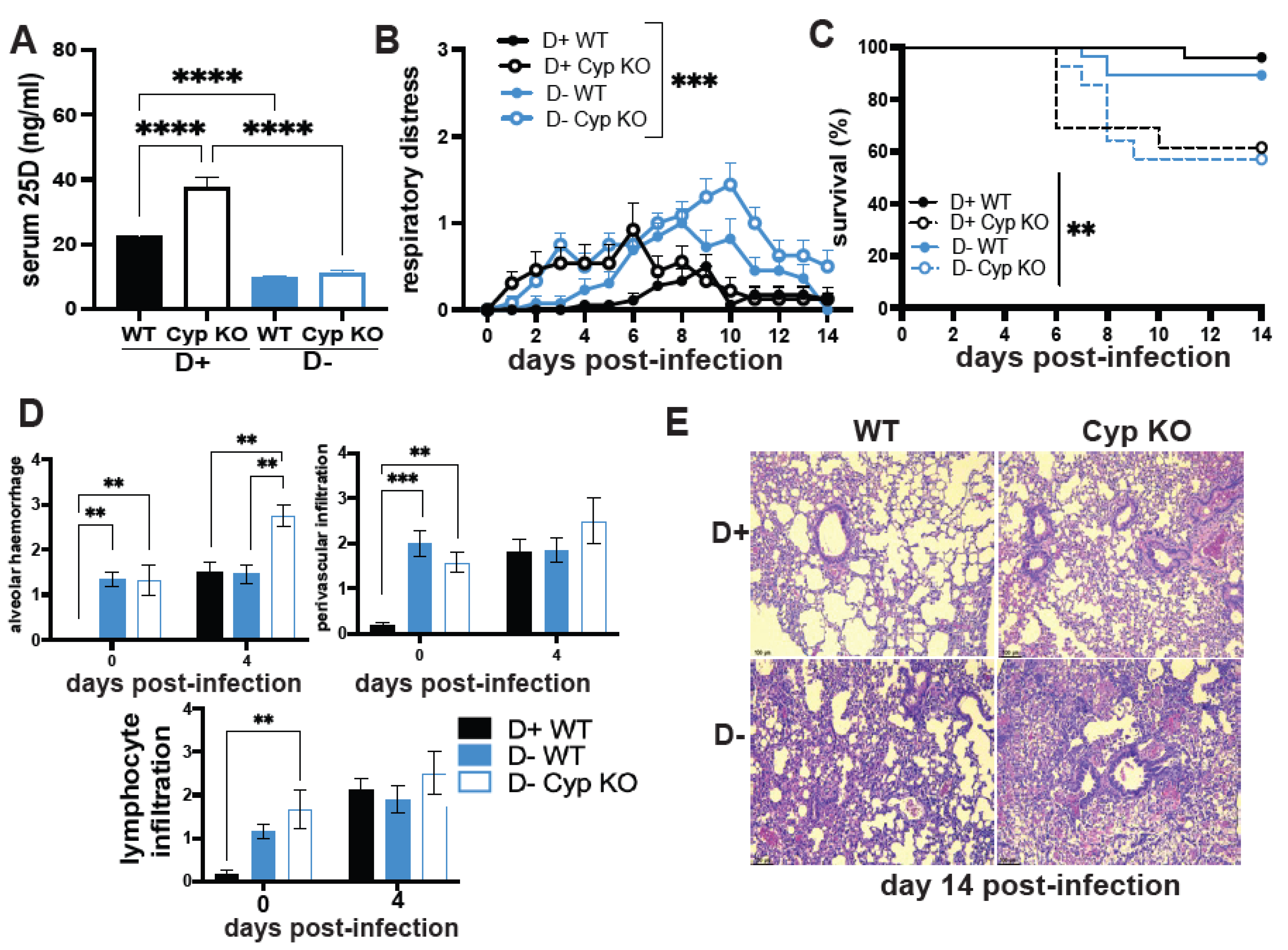 Nutrients 14 03061 g001 550