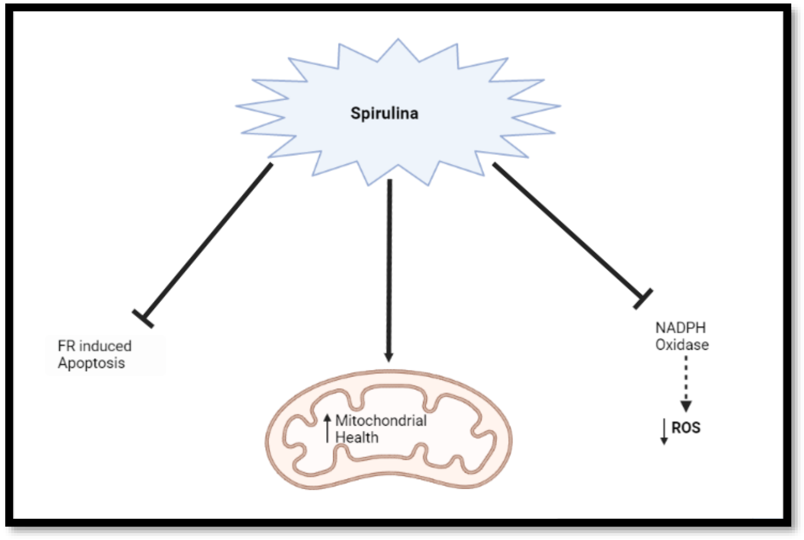 Nutrients 14 03076 g001