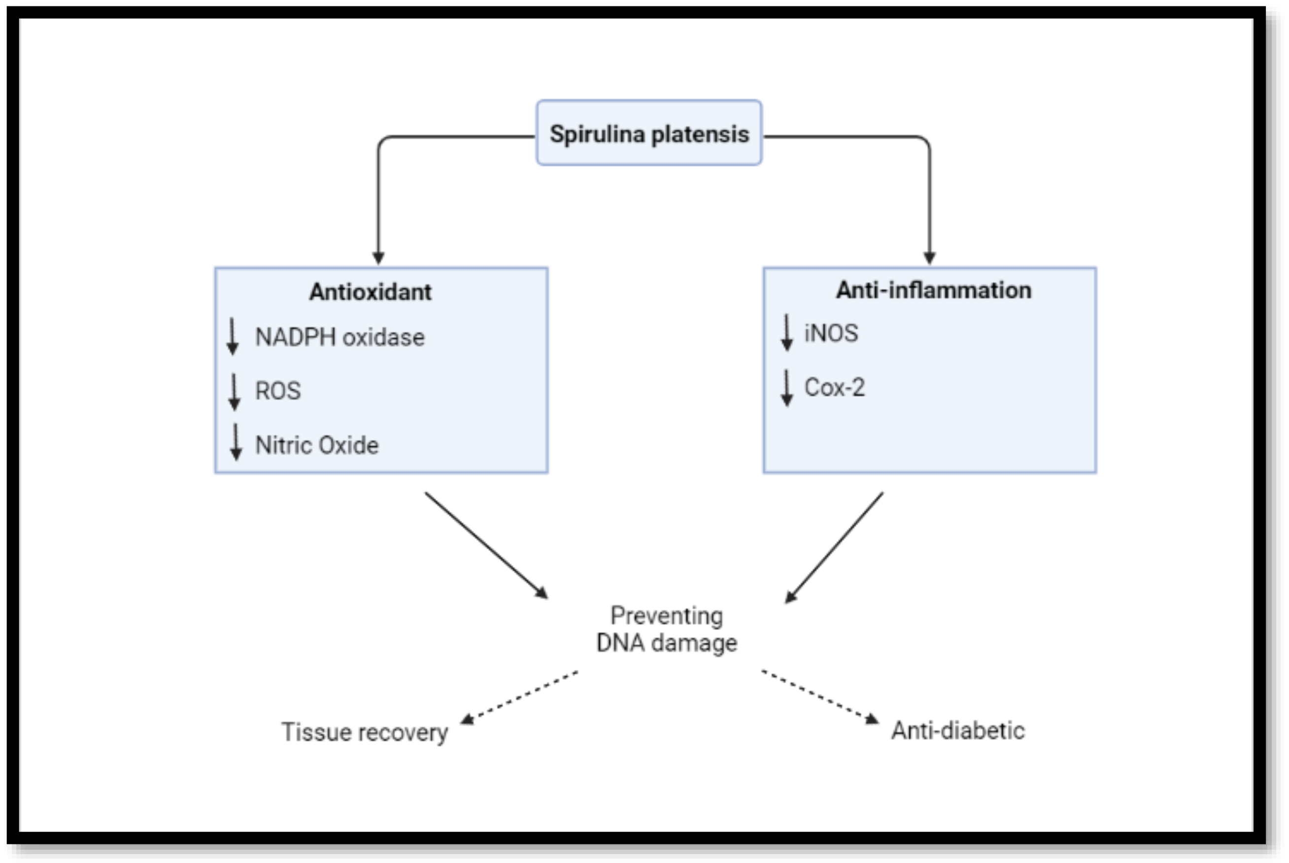 Nutrients 14 03076 g003