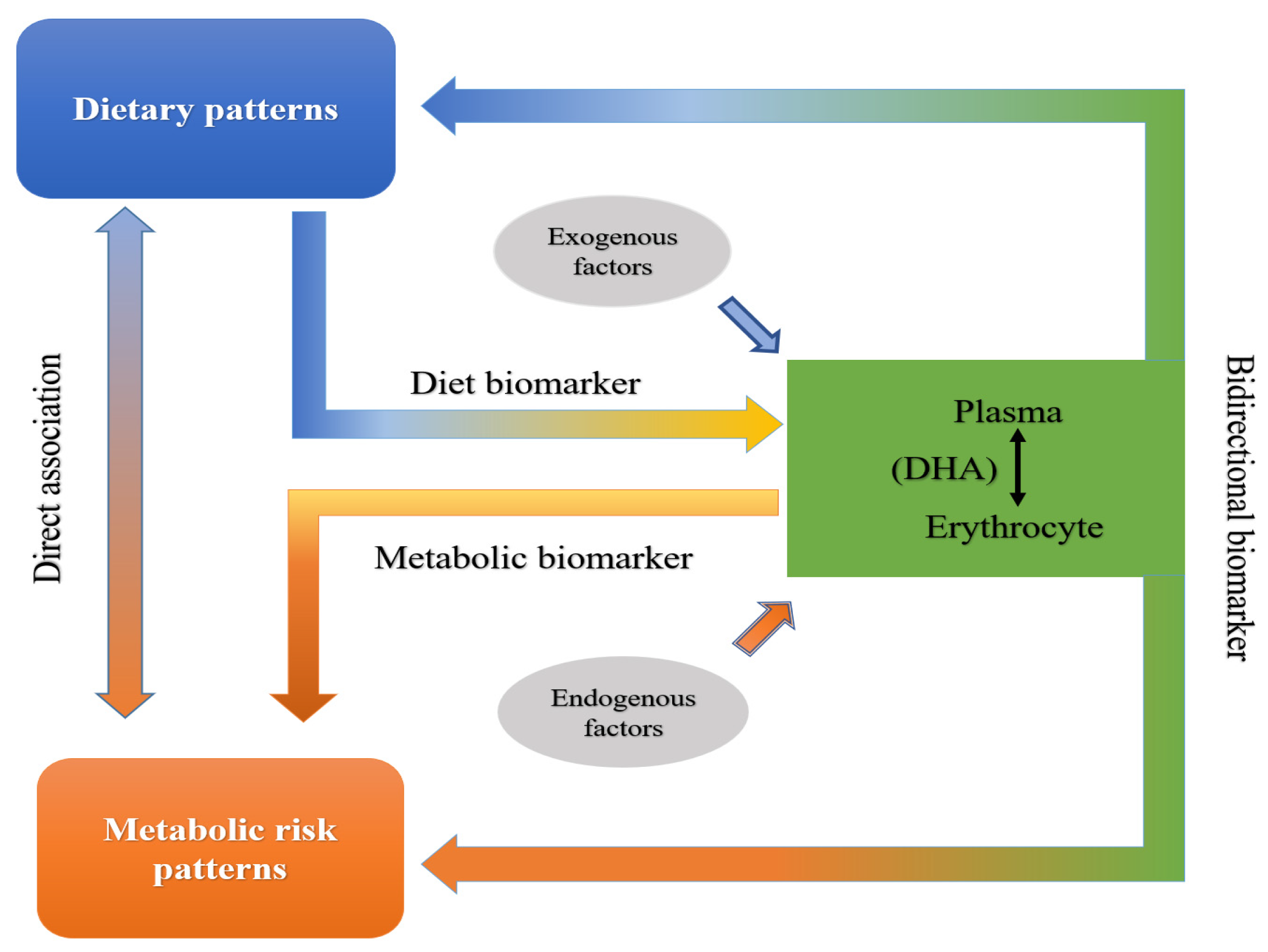 Nutrients 14 03095 g001