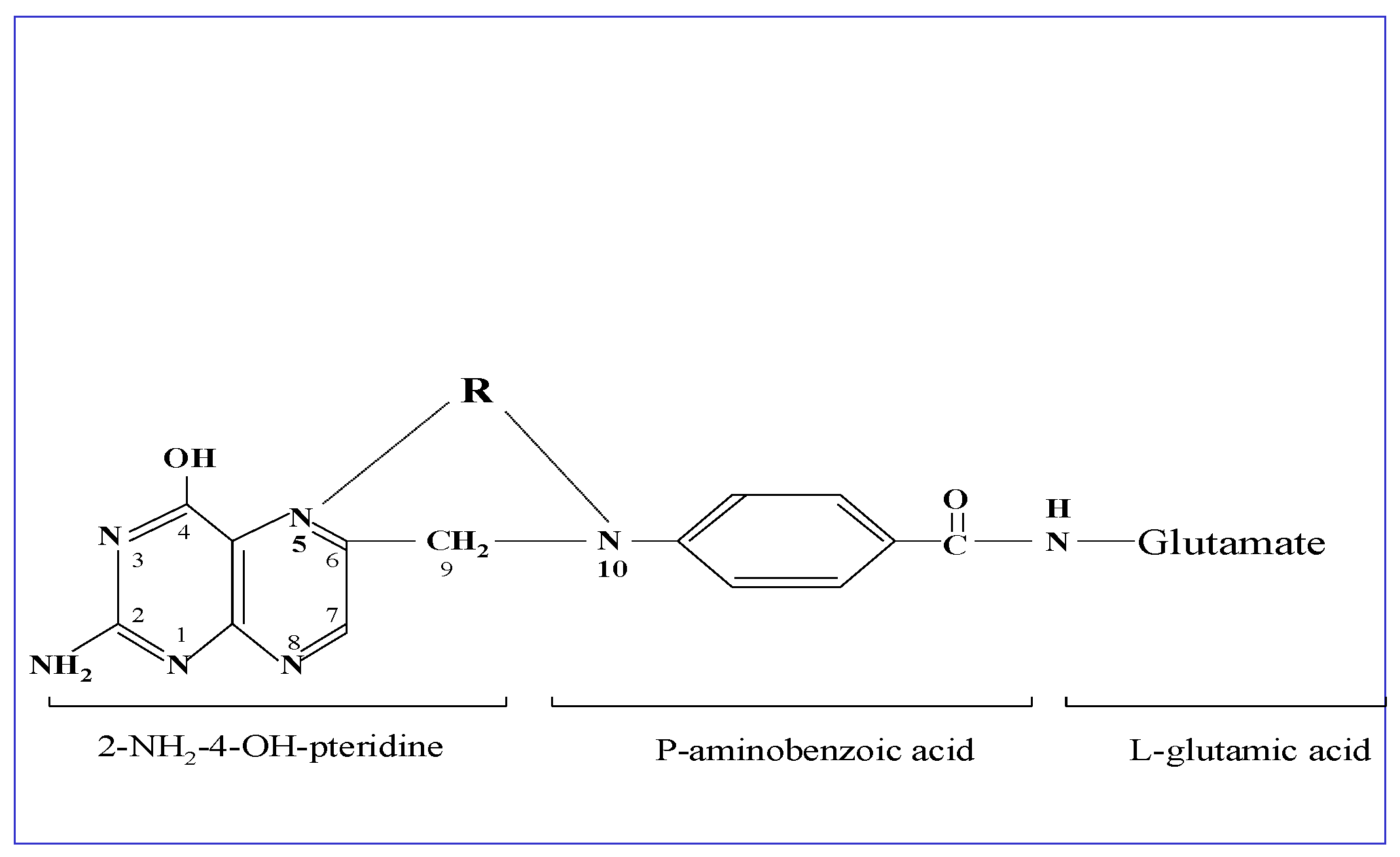 Nutrients 14 03096 g001