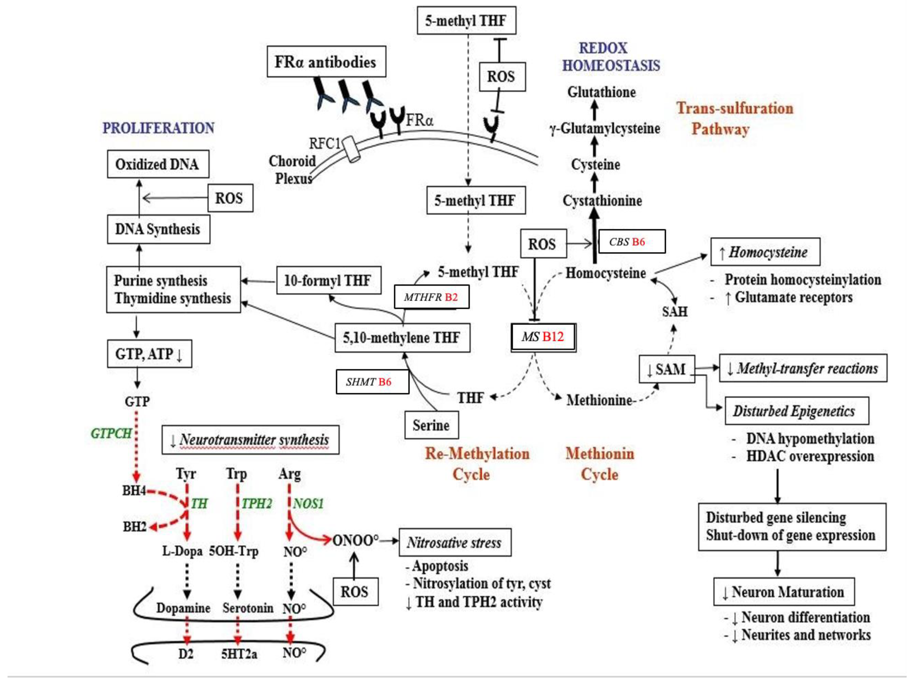 Nutrients 14 03096 g002