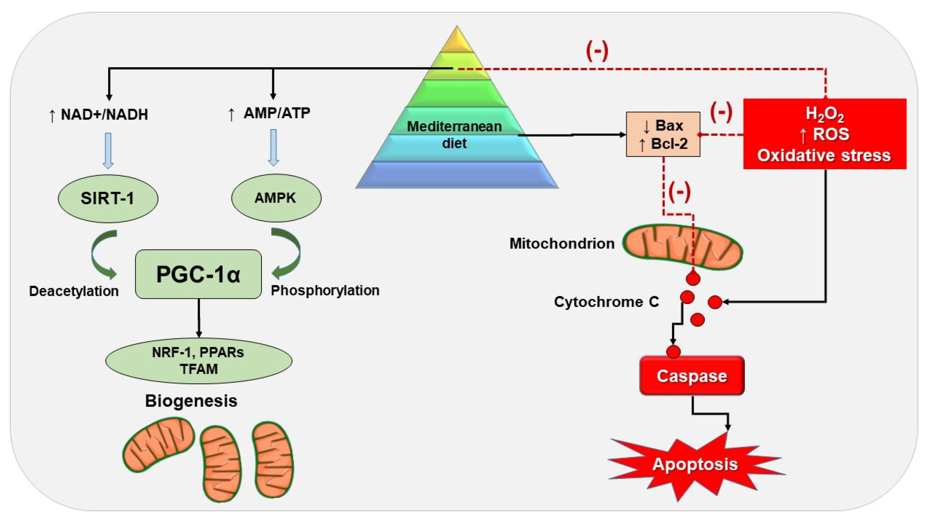Nutrients 14 03112 g003
