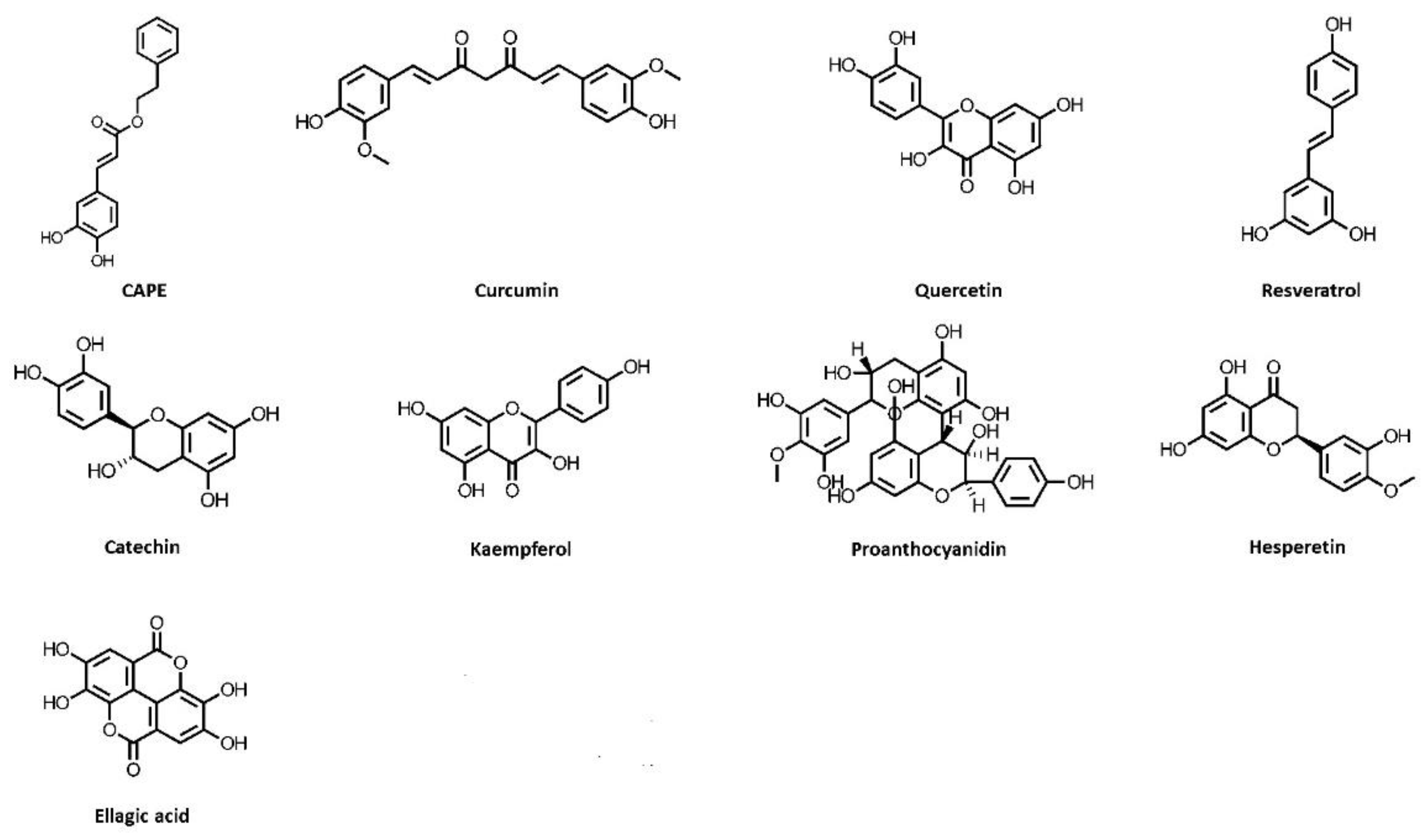 Nutrients Free FullText The Effect of Polyphenols on Kidney