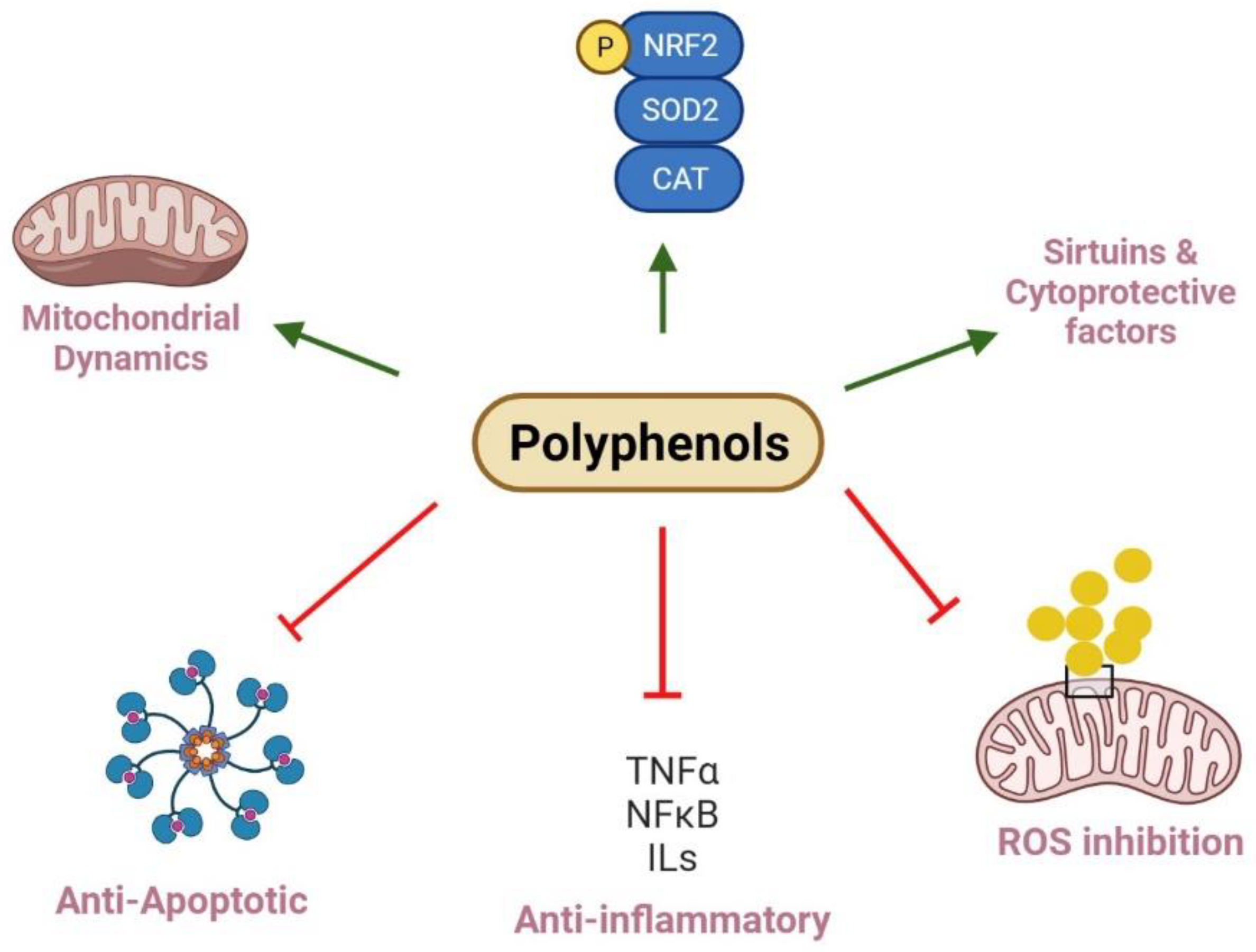 Nutrients 14 03115 g002 550
