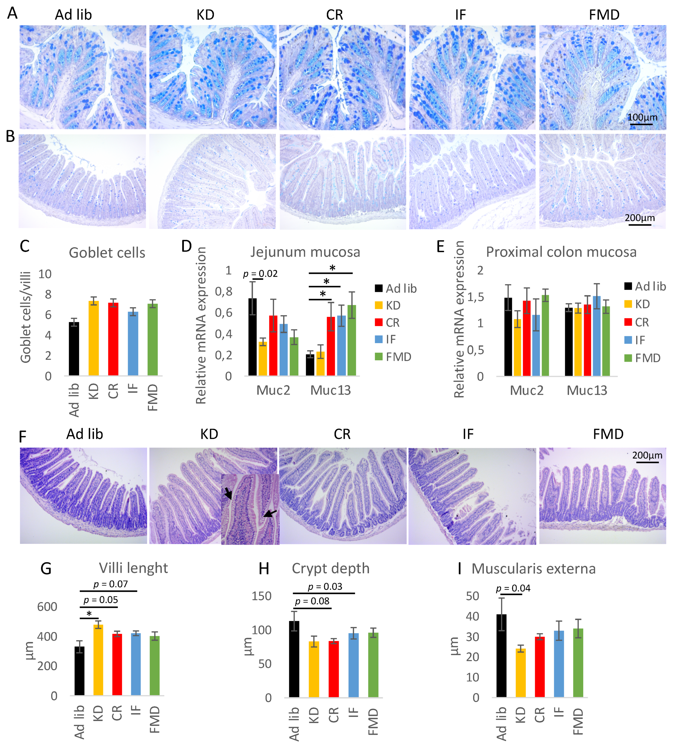 Nutrients 14 03120 g005 550