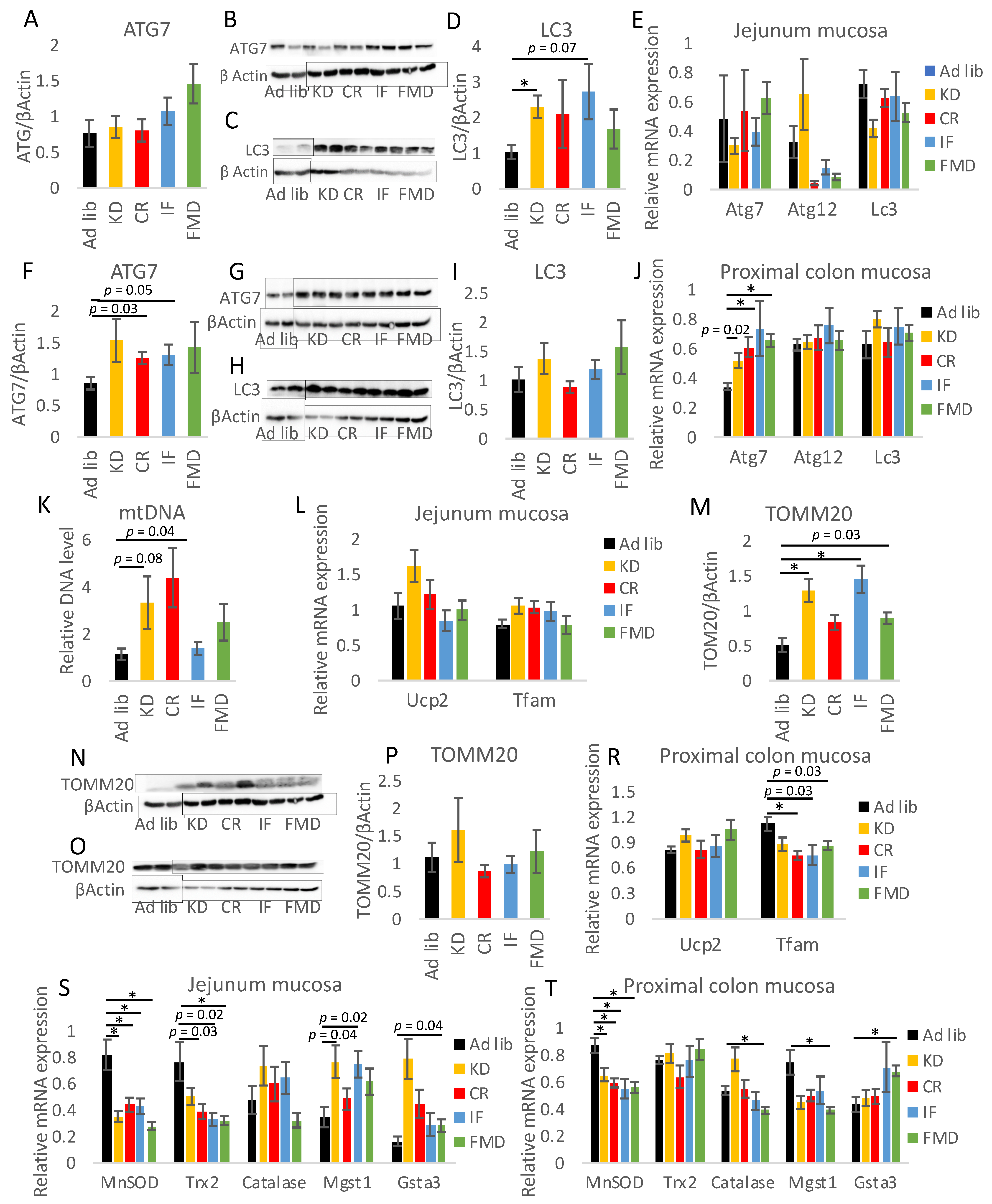 Nutrients 14 03120 g007 550