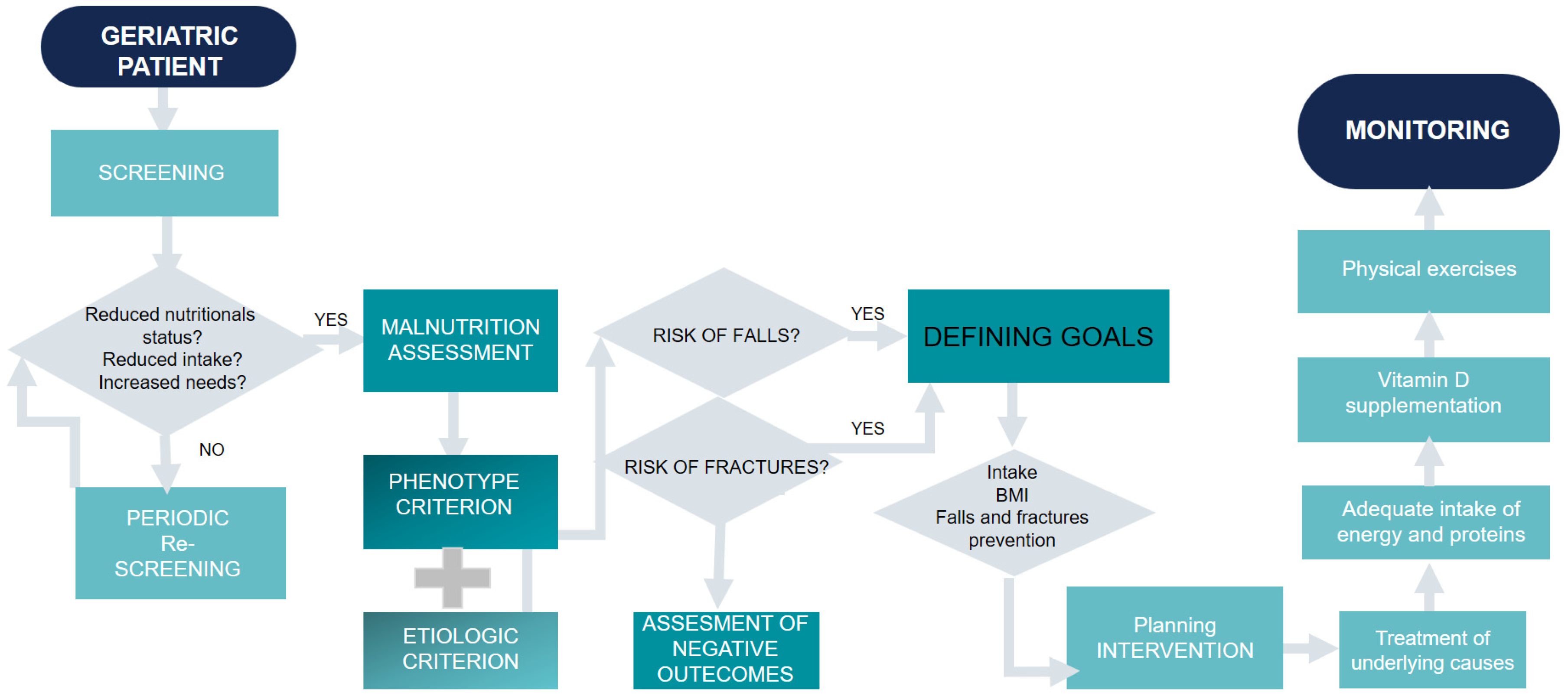 Nutrients 14 03123 g001