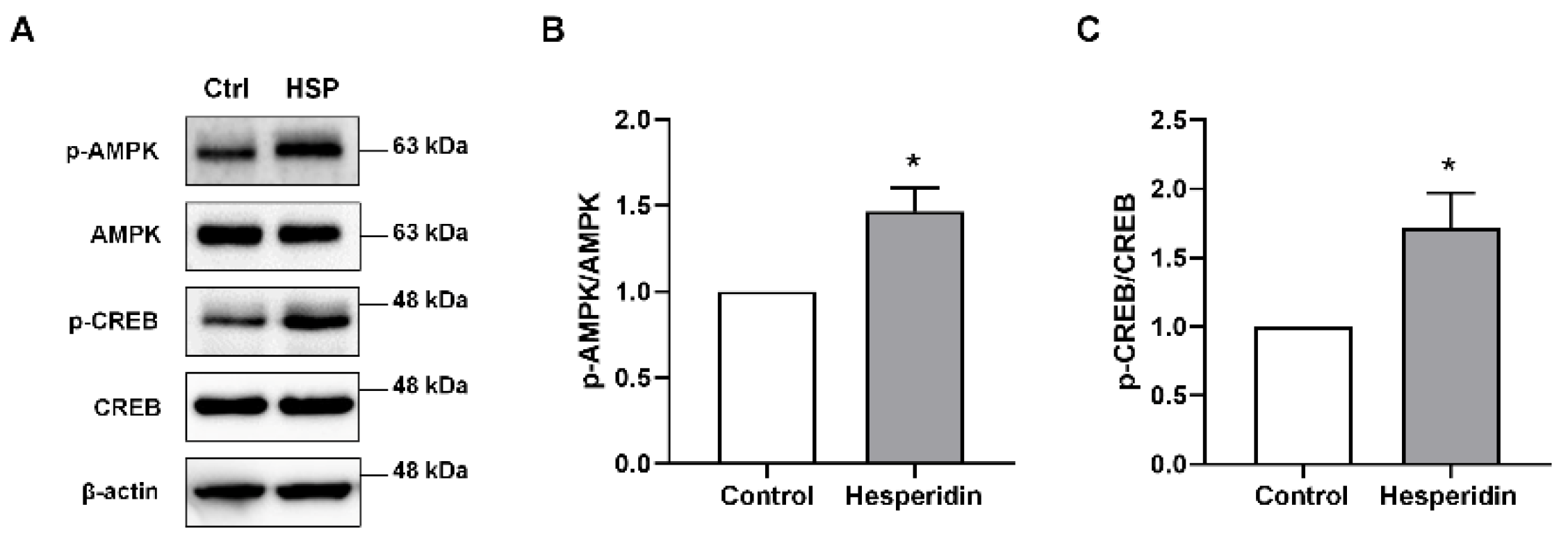 Nutrients 14 03125 g002