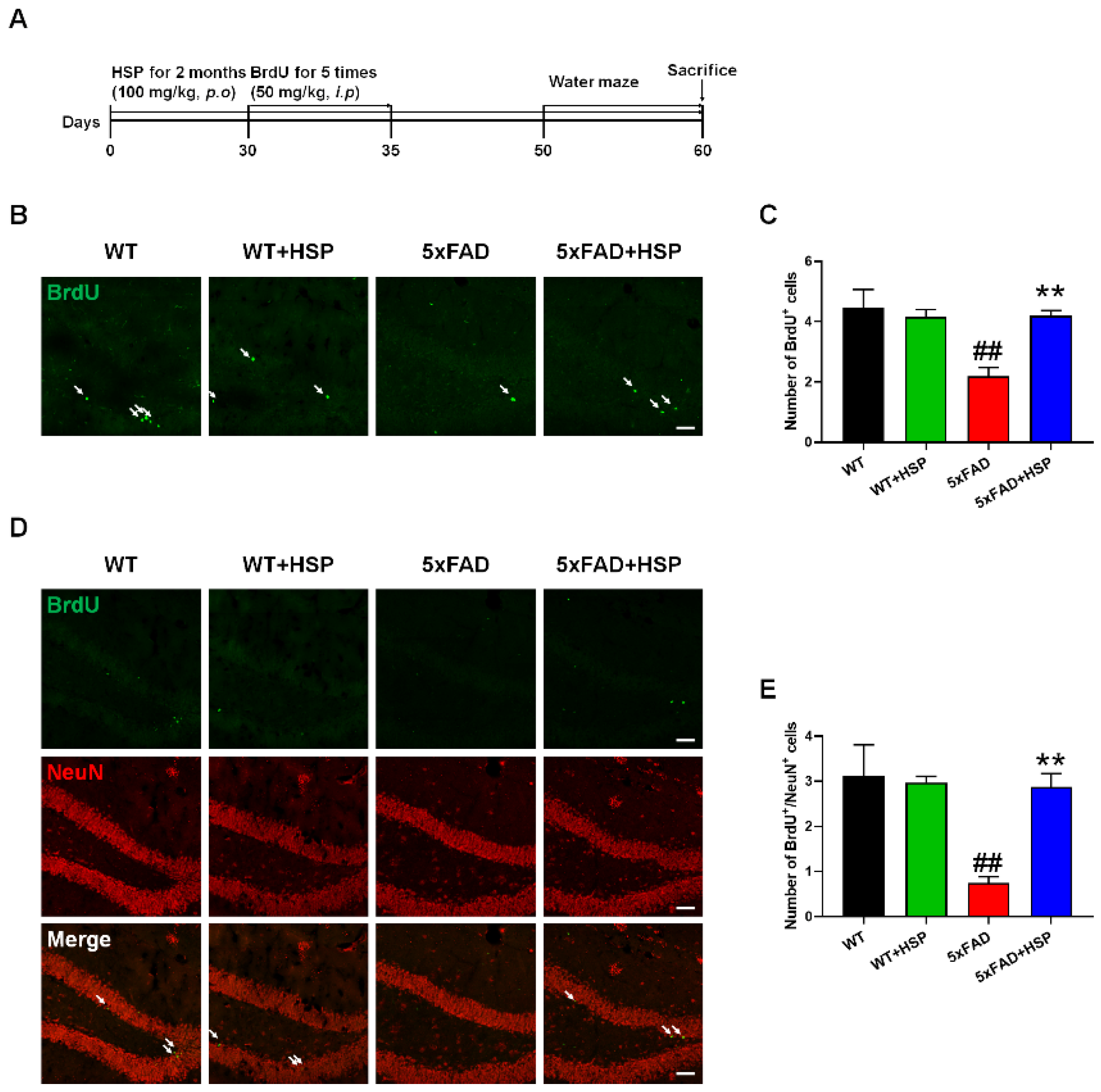 Nutrients 14 03125 g003
