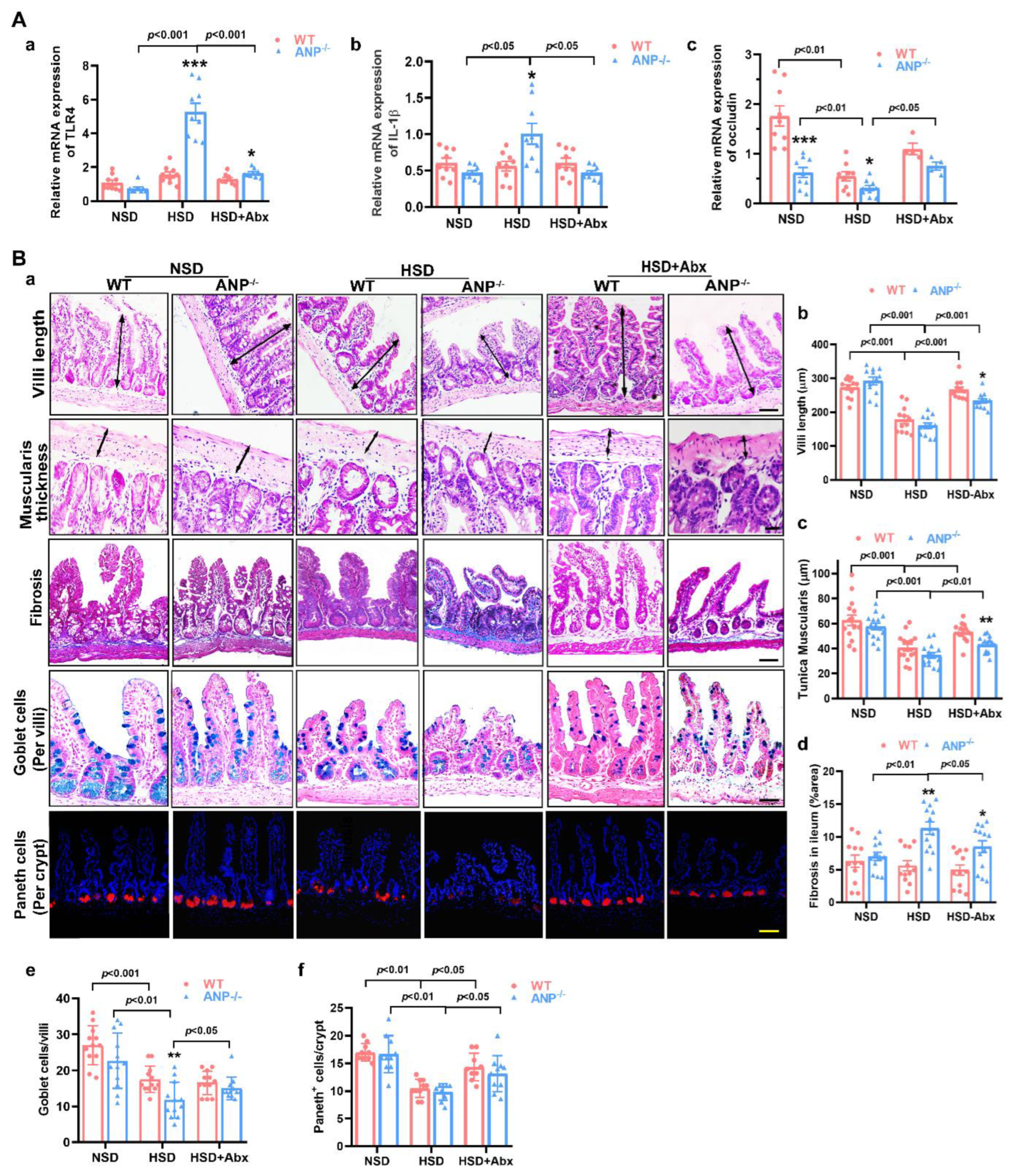 Nutrients 14 03129 g002 Nutrients 14 03129 g002