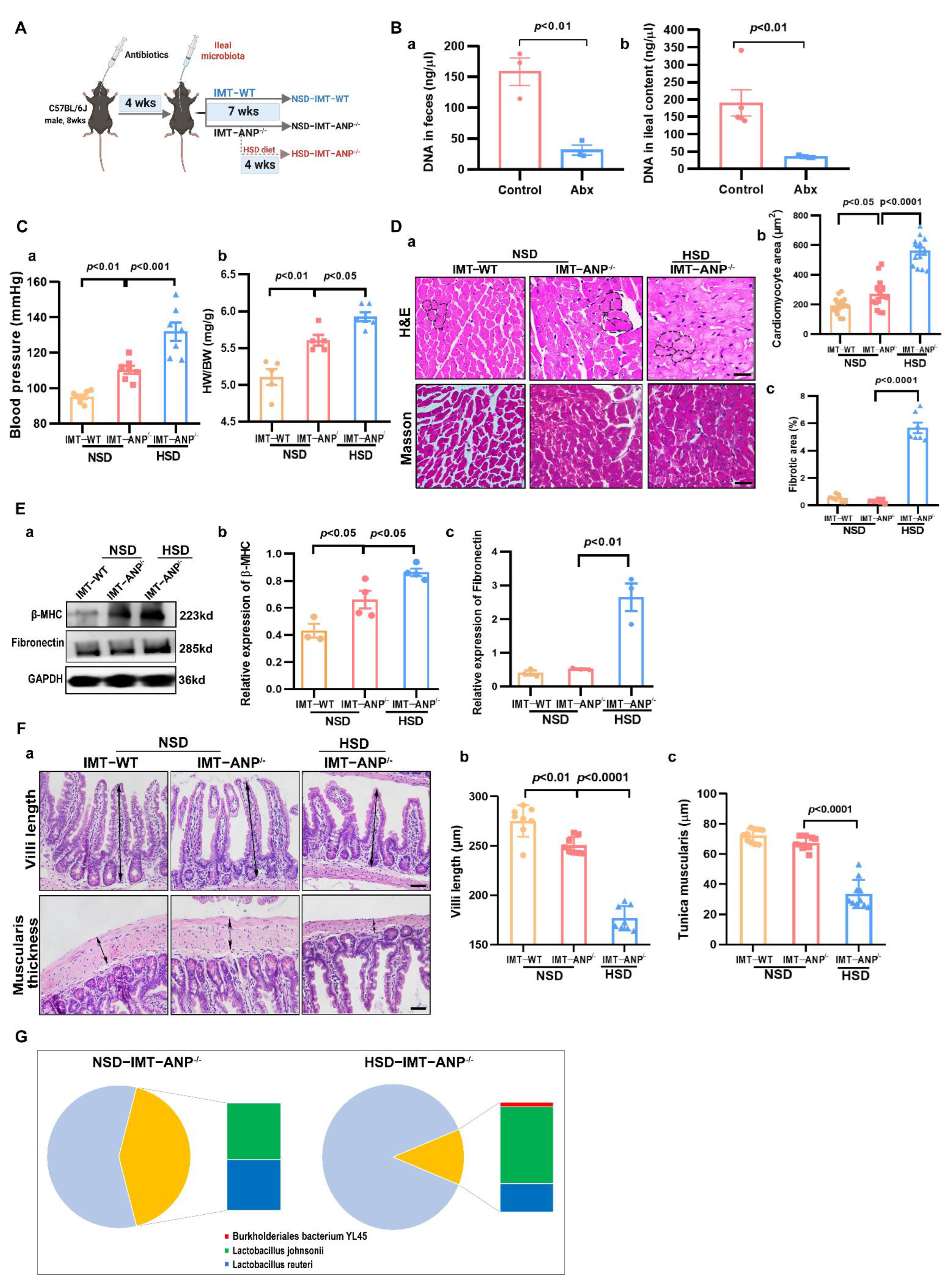 Nutrients 14 03129 g004 Nutrients 14 03129 g004