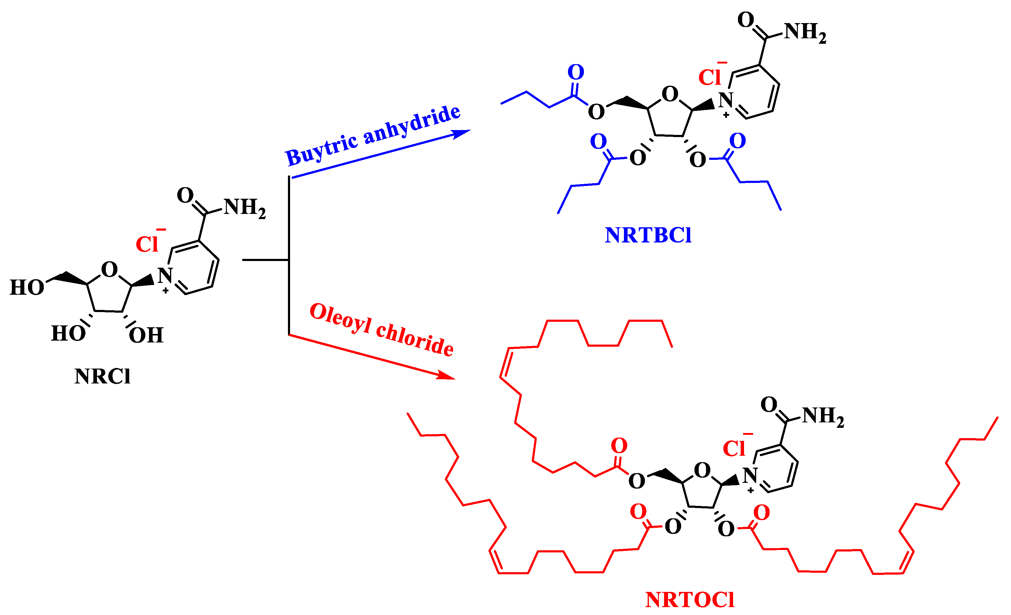 Nutrients 14 03130 g001