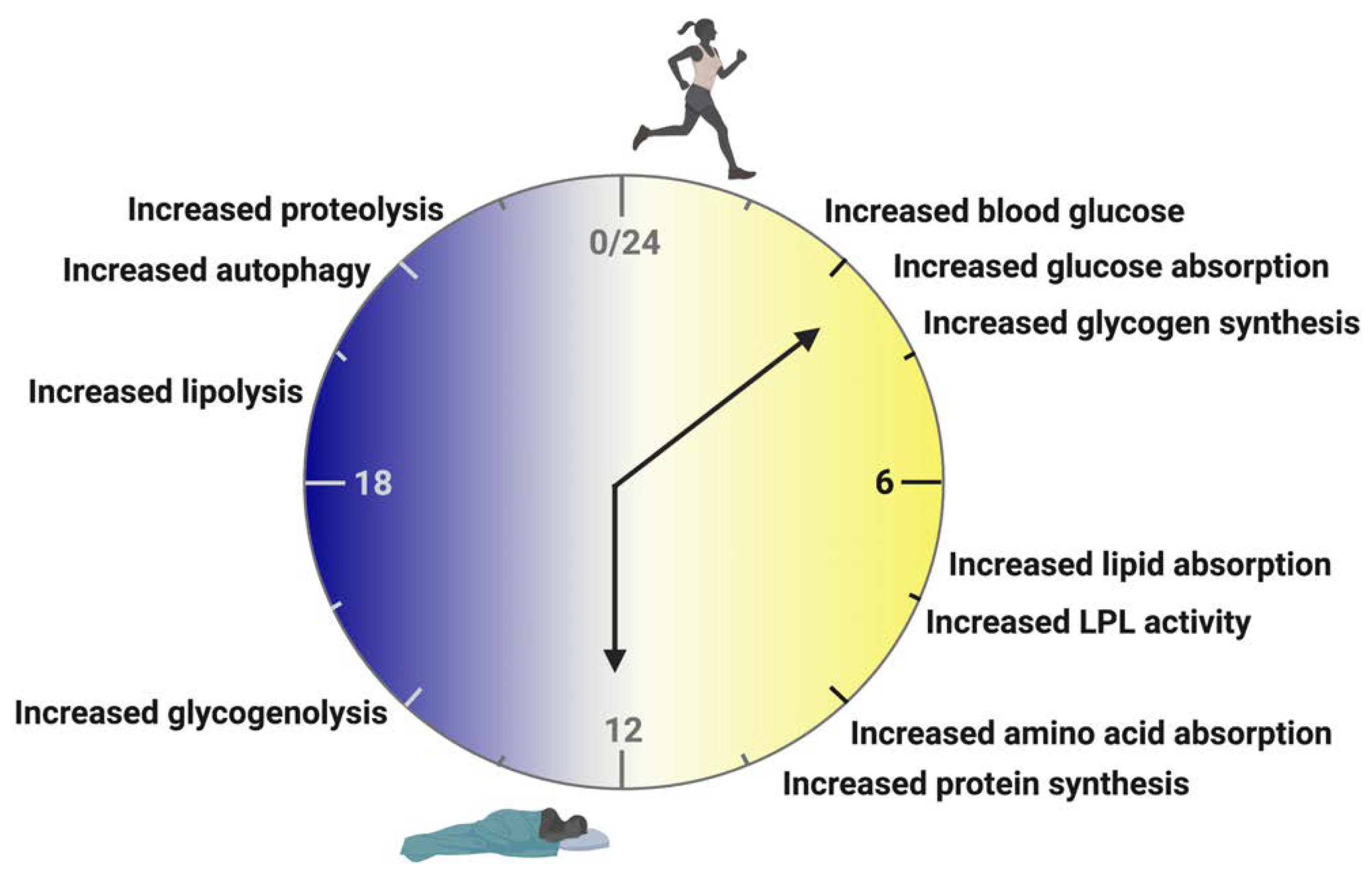 Nutrients 14 03136 g002 550