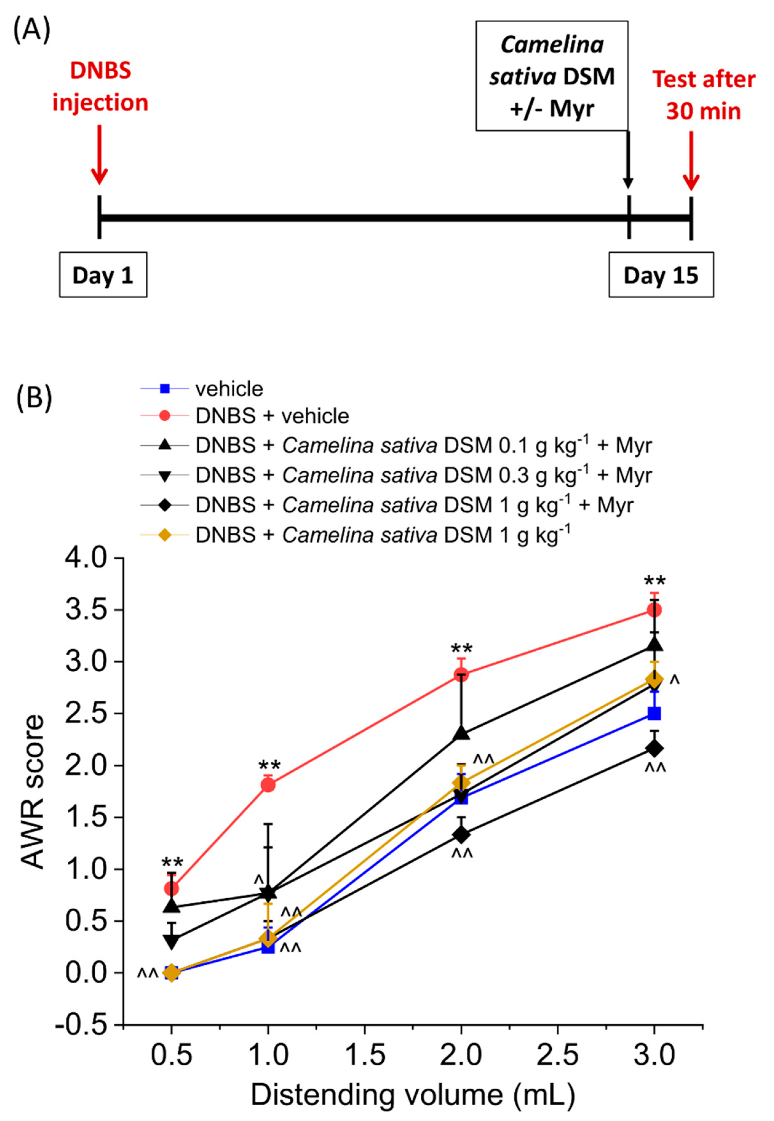 Nutrients 14 03137 g001 Nutrients 14 03137 g001