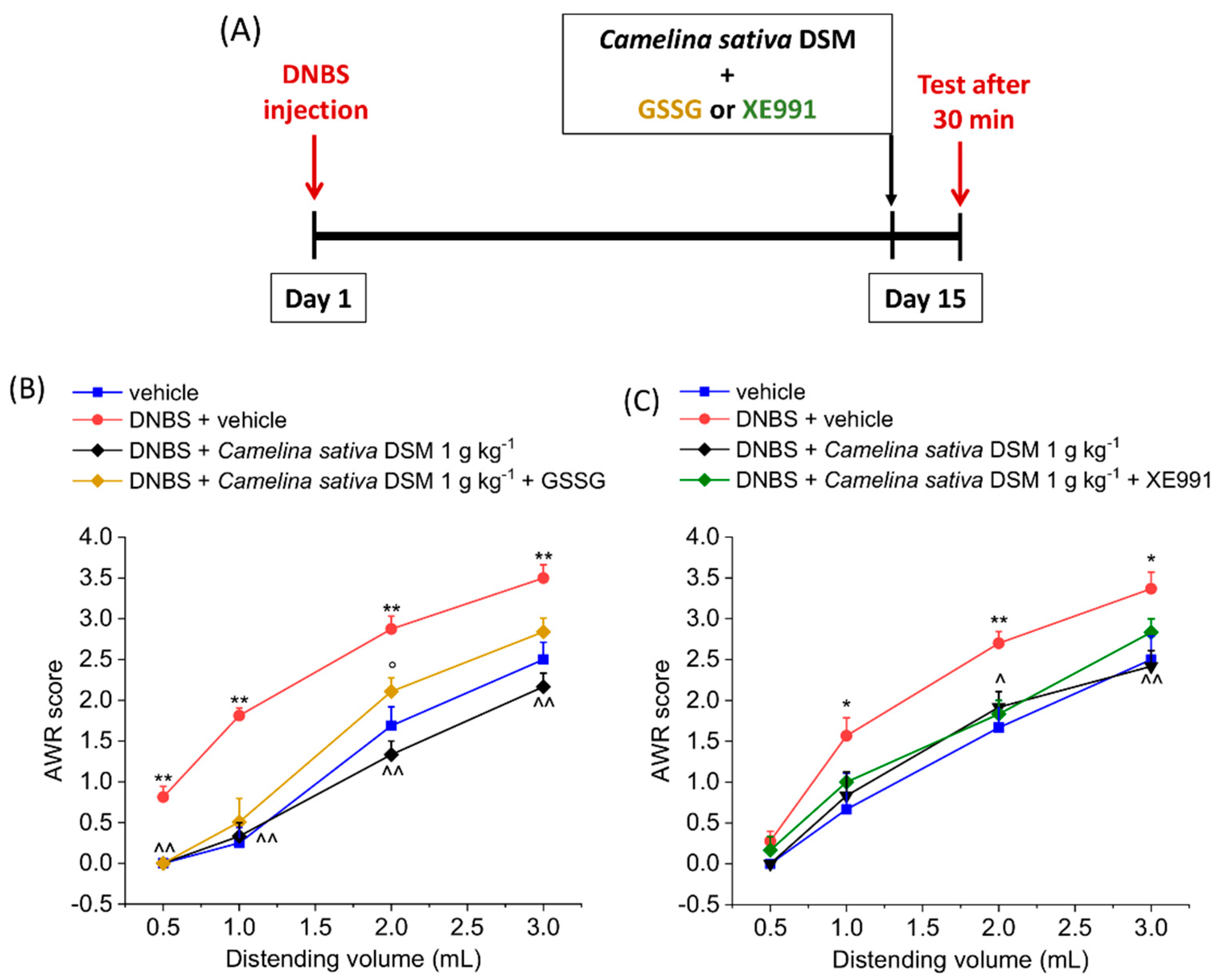 Nutrients 14 03137 g002 Nutrients 14 03137 g002