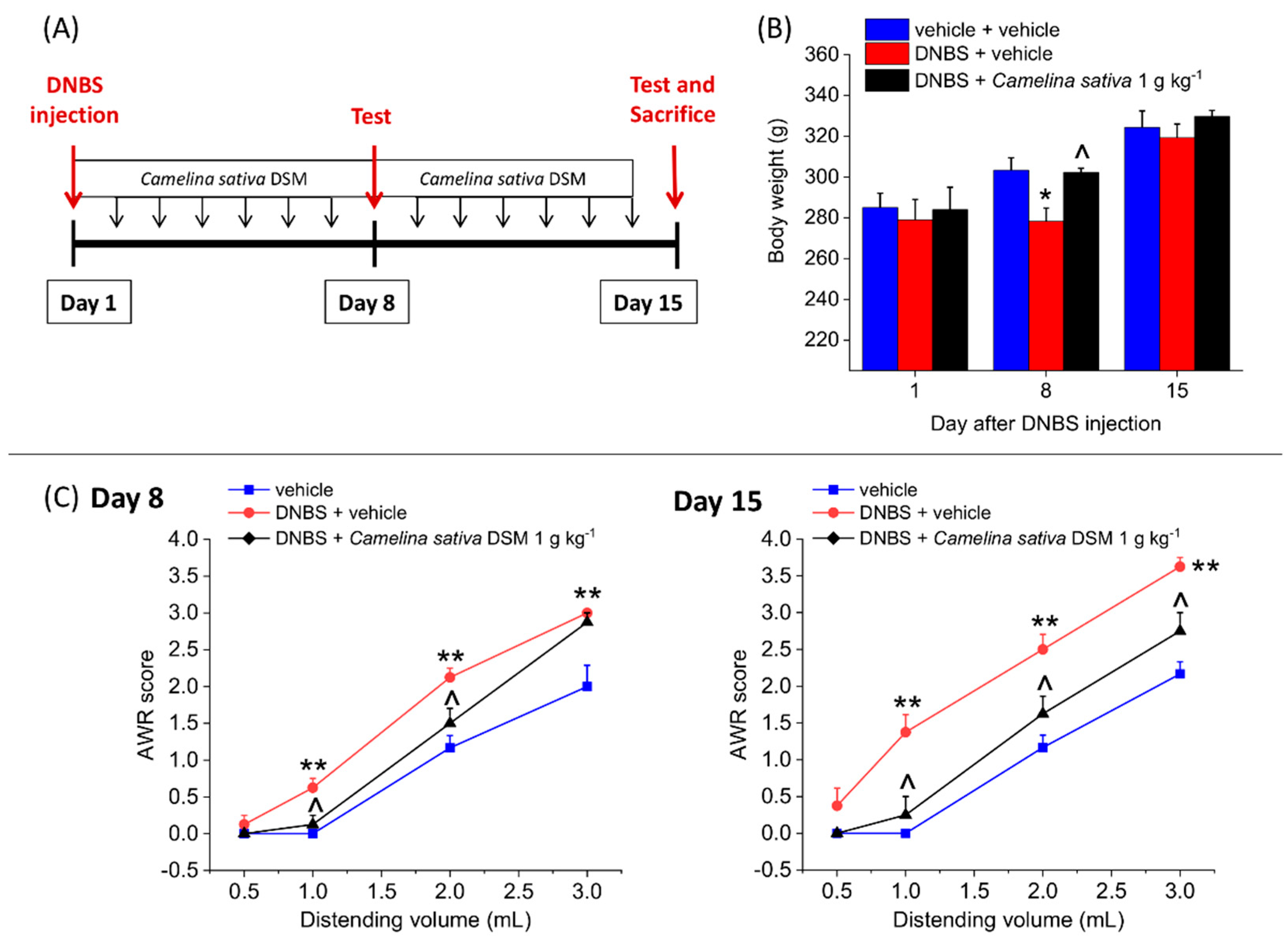 Nutrients 14 03137 g005 Nutrients 14 03137 g005