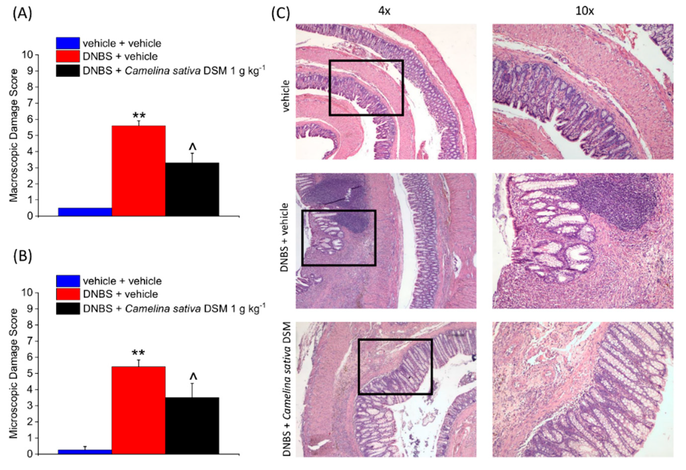 Nutrients 14 03137 g006 Nutrients 14 03137 g006