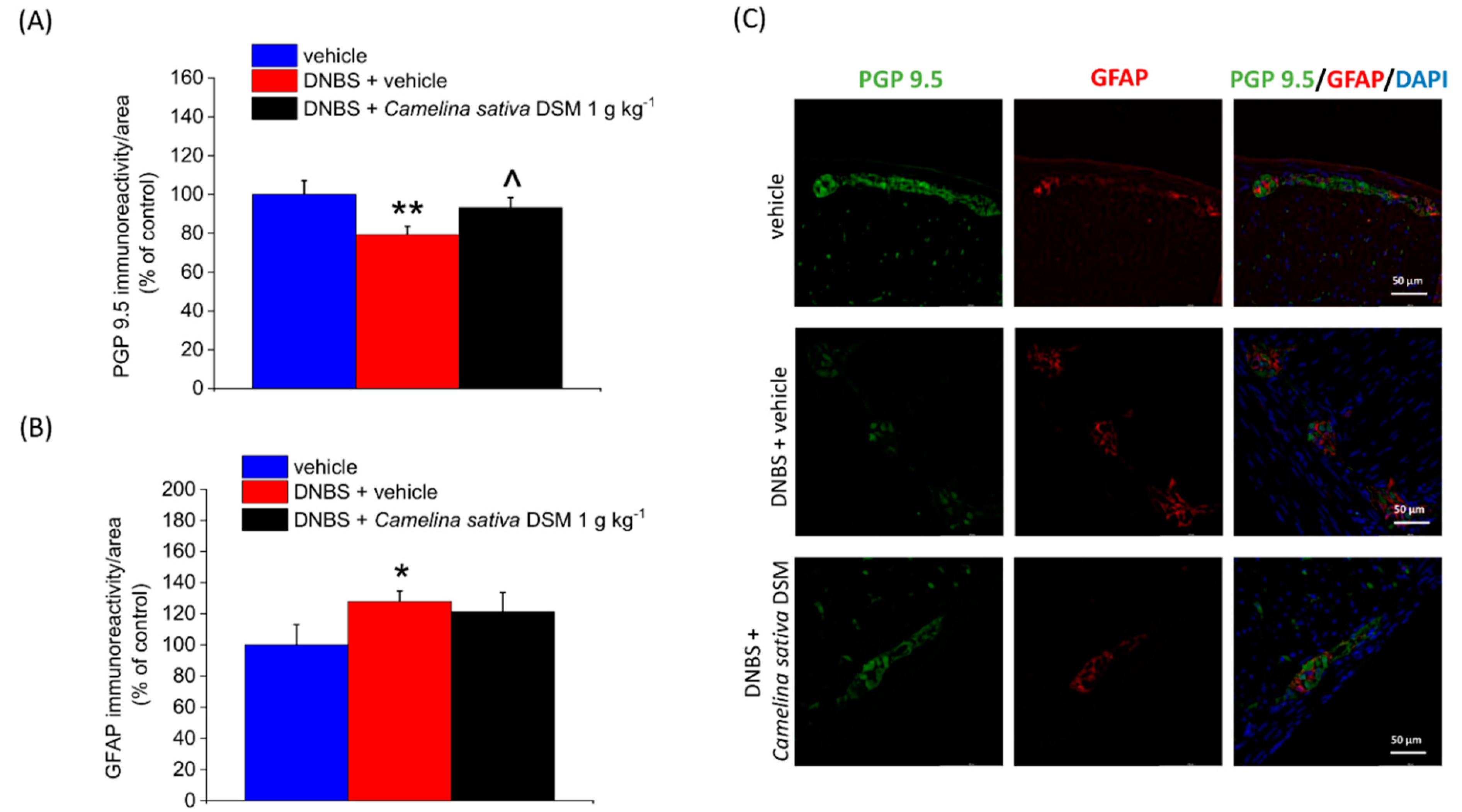Nutrients 14 03137 g008 Nutrients 14 03137 g008