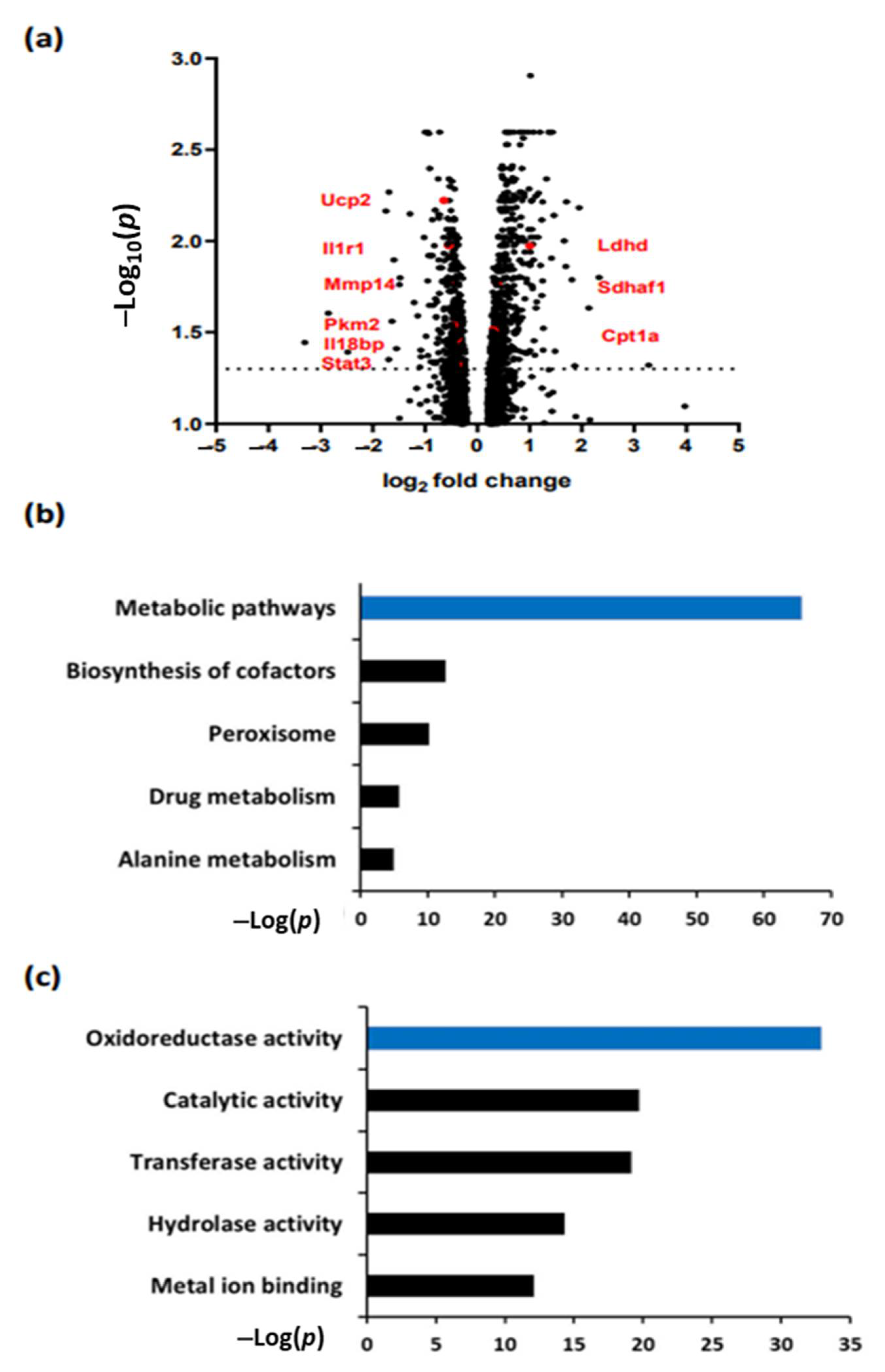 Nutrients 14 03138 g001