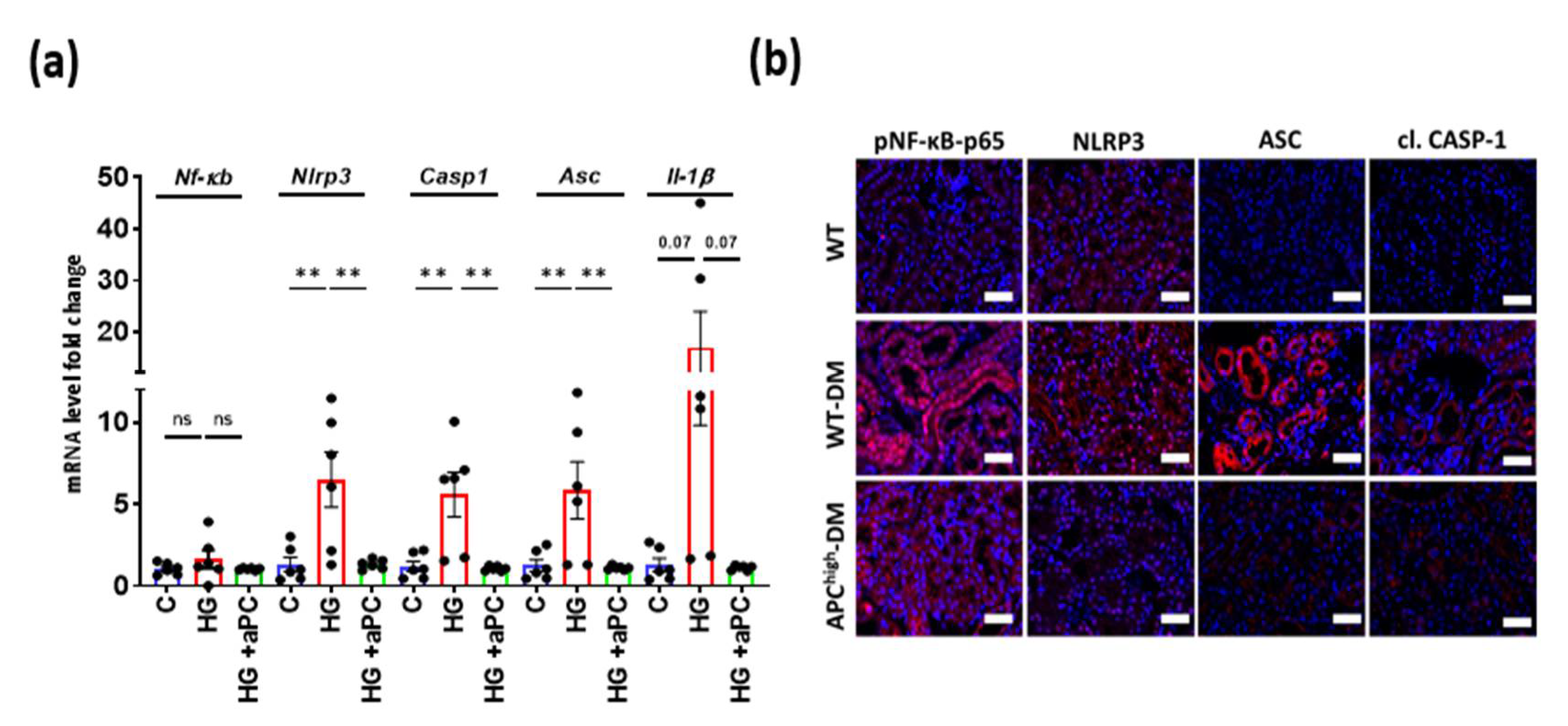 Nutrients 14 03138 g004a