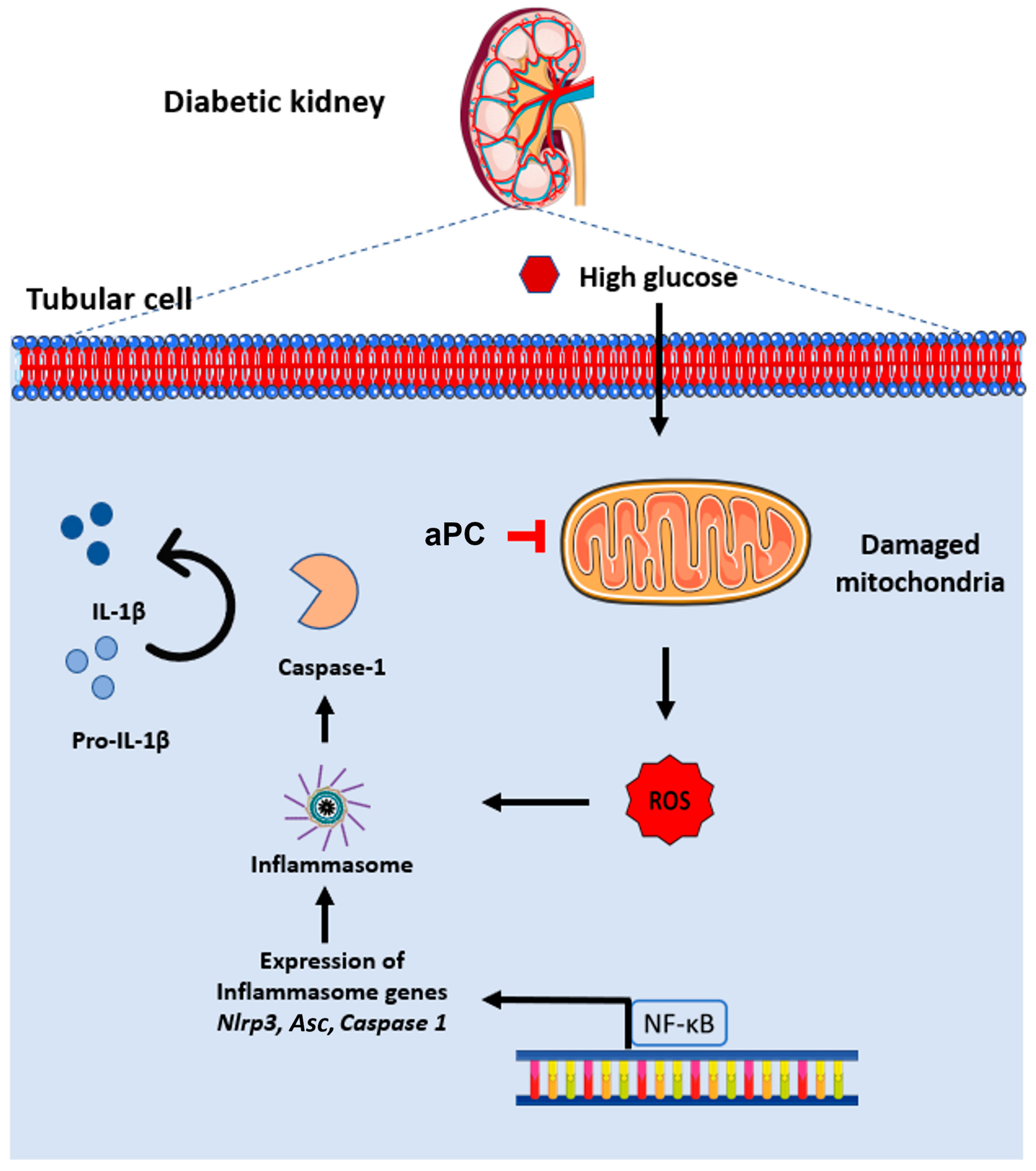 Nutrients 14 03138 g005