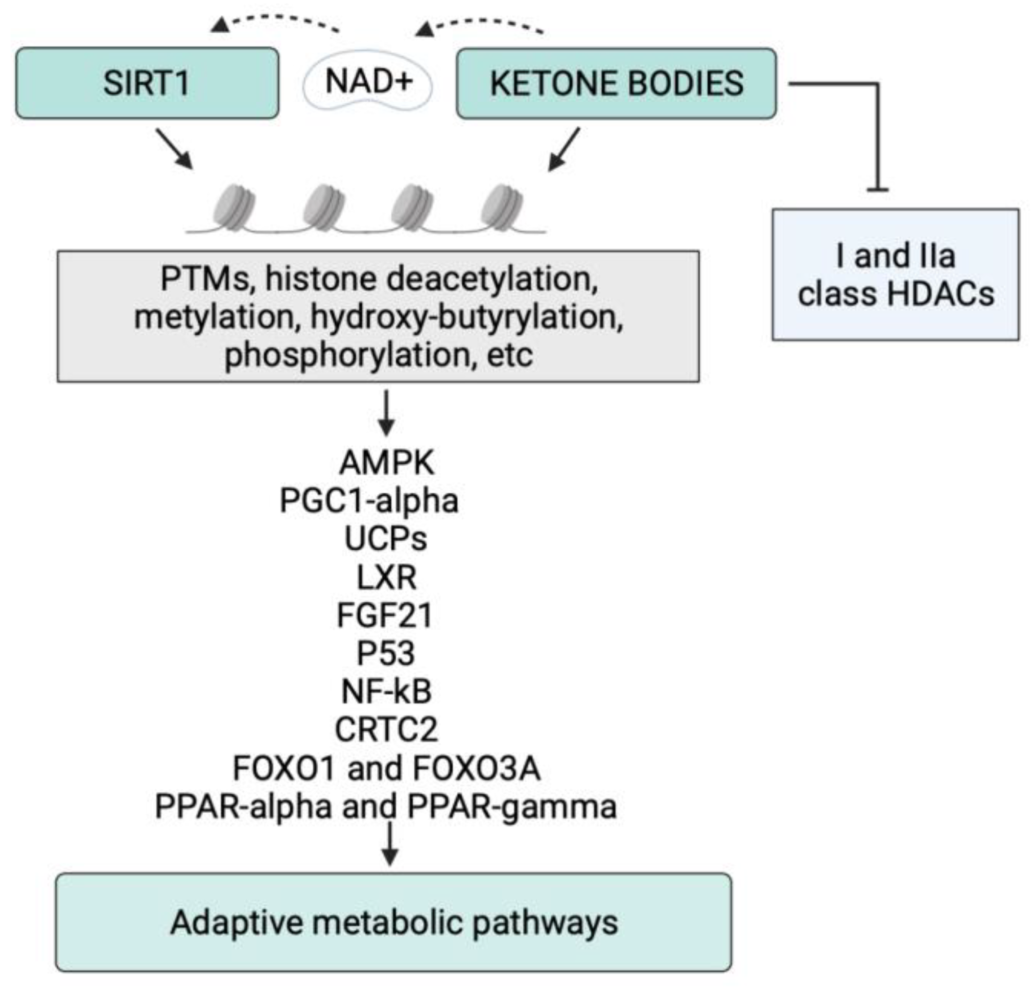 Nutrients 14 03145 g002 550