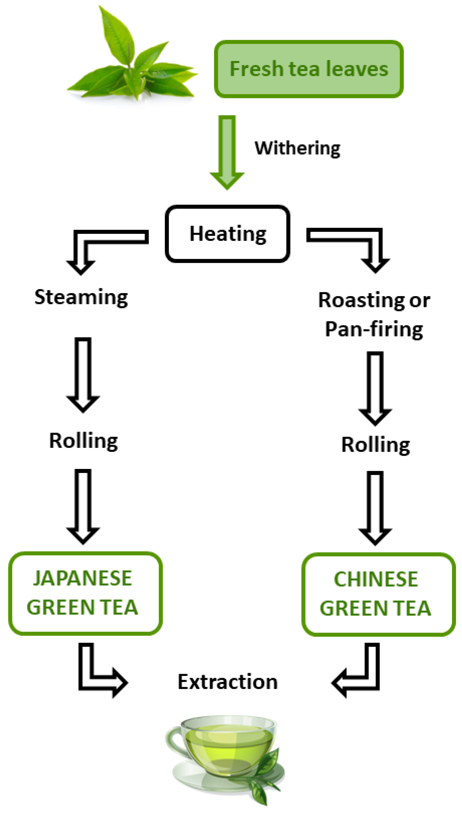 Nutrients 14 03149 g001