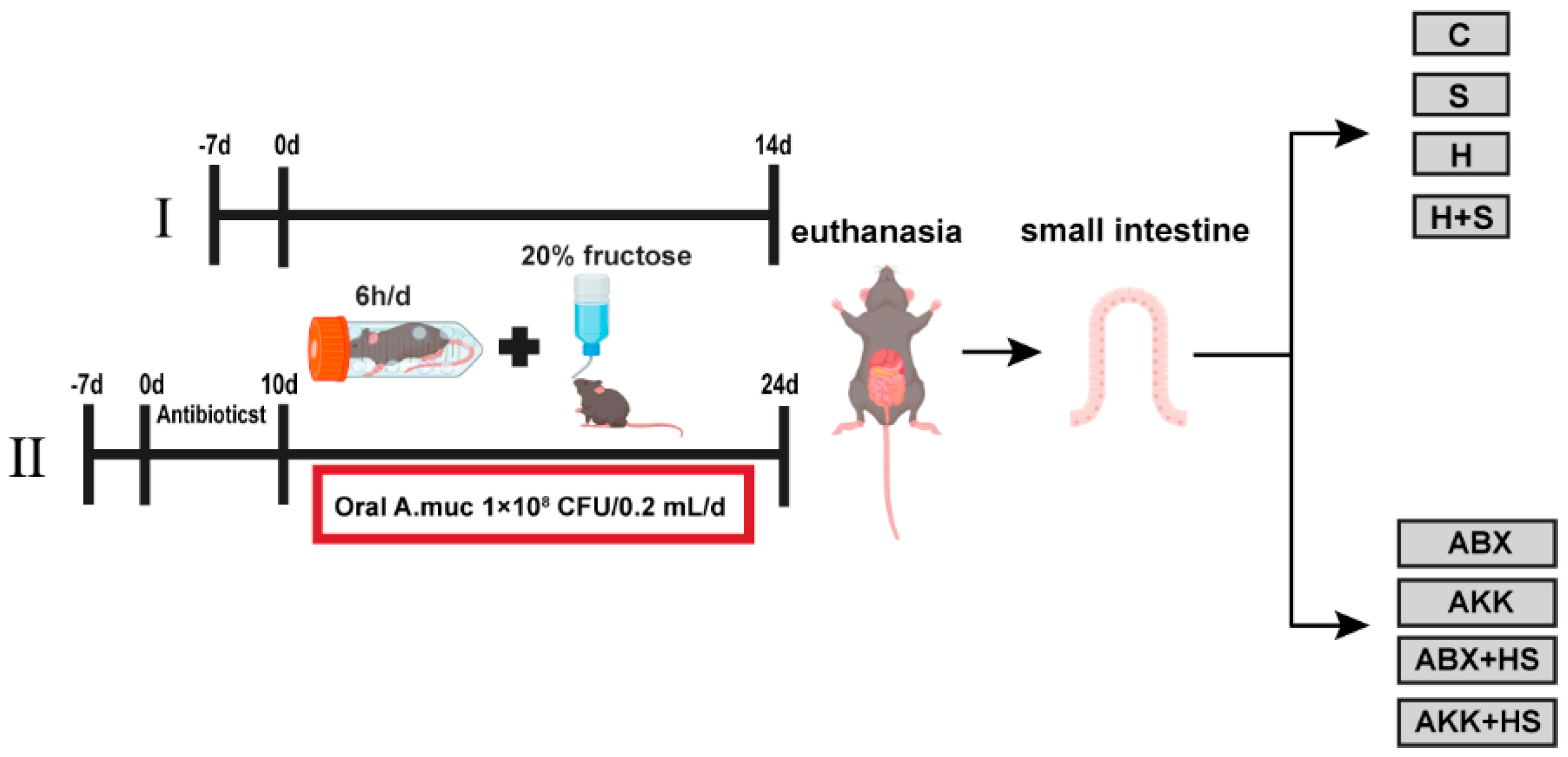 Nutrients 14 03164 g001