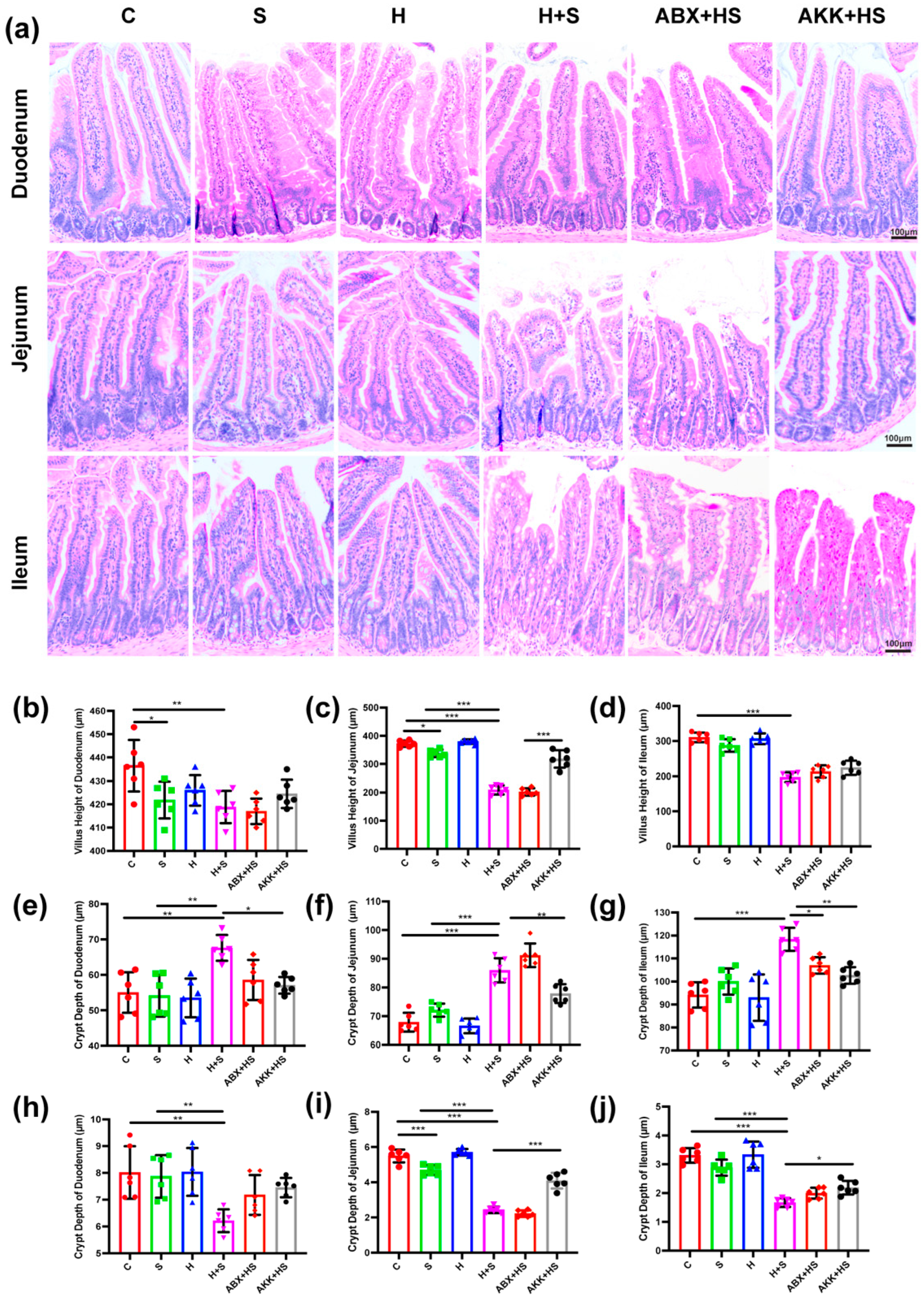 Nutrients 14 03164 g002