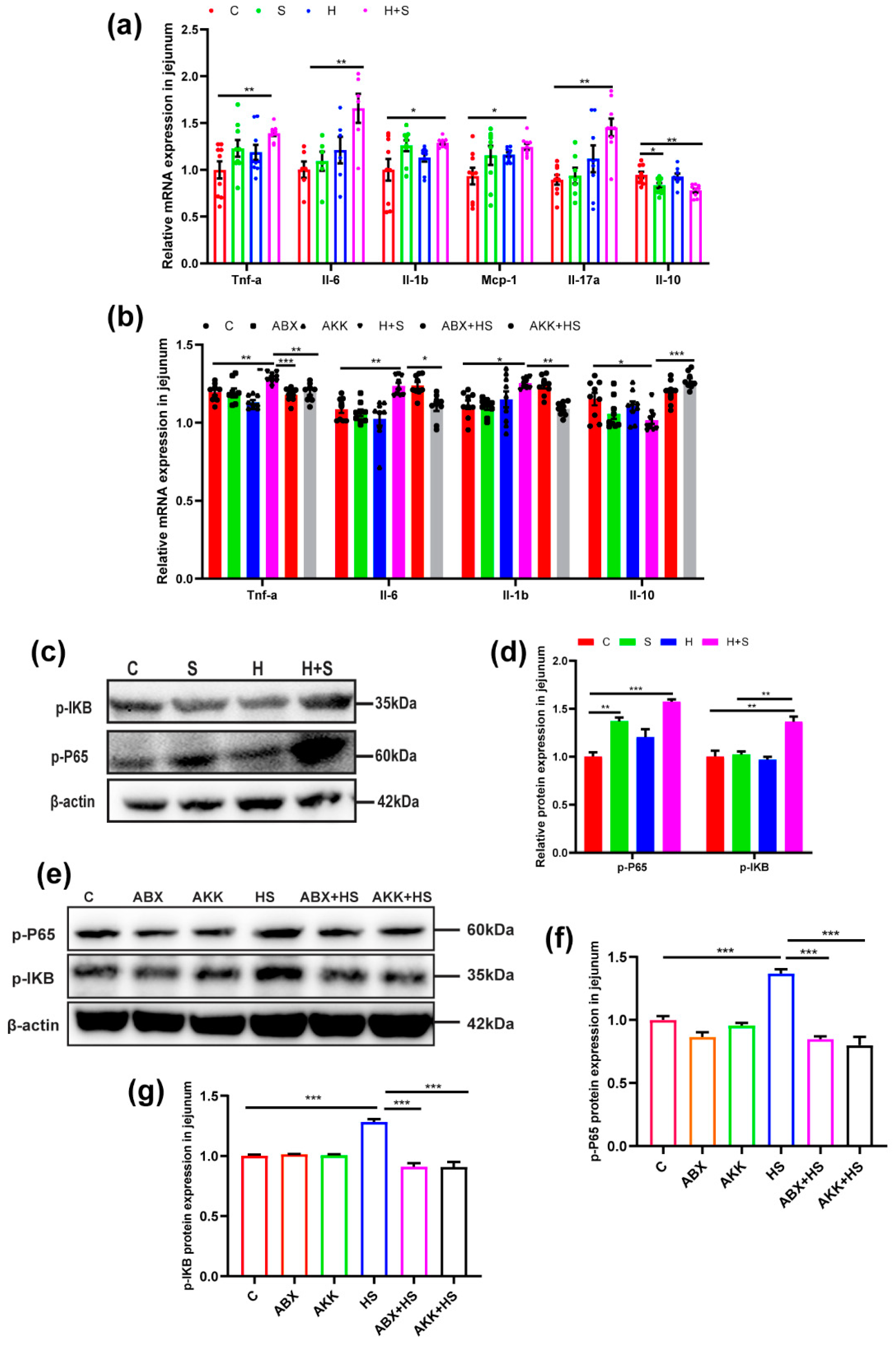 Nutrients 14 03164 g004
