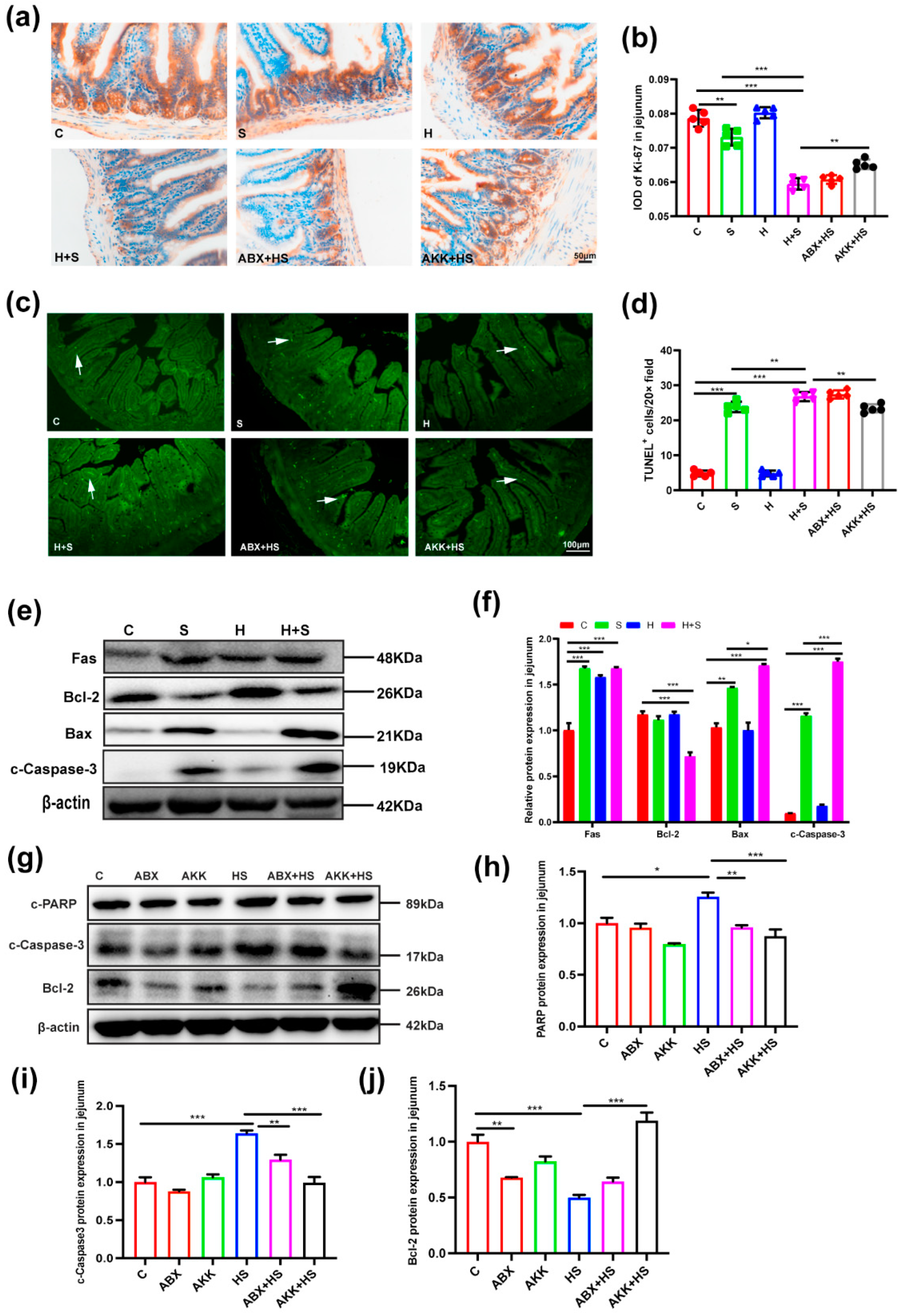 Nutrients 14 03164 g005