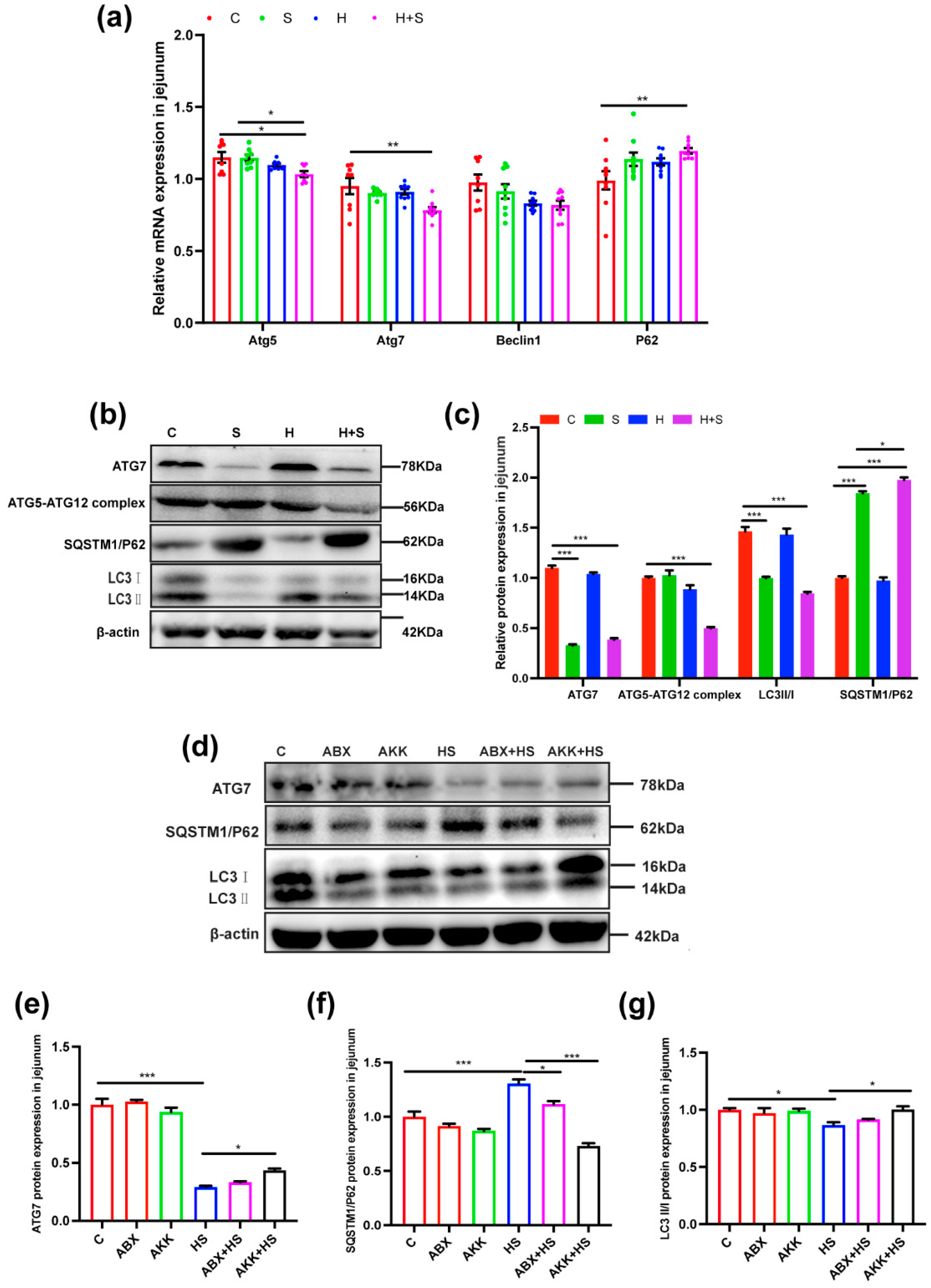 Nutrients 14 03164 g006