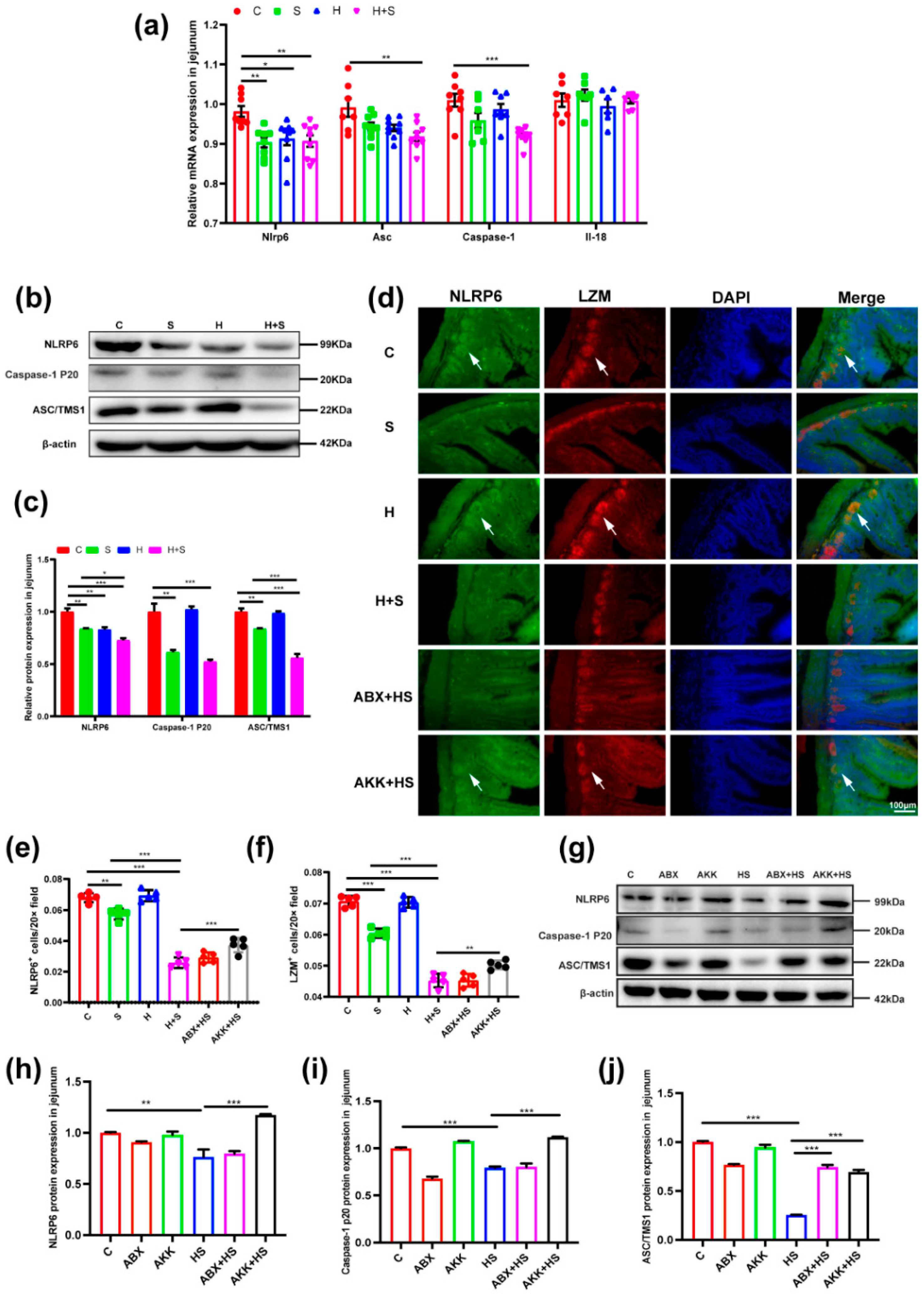 Nutrients 14 03164 g007