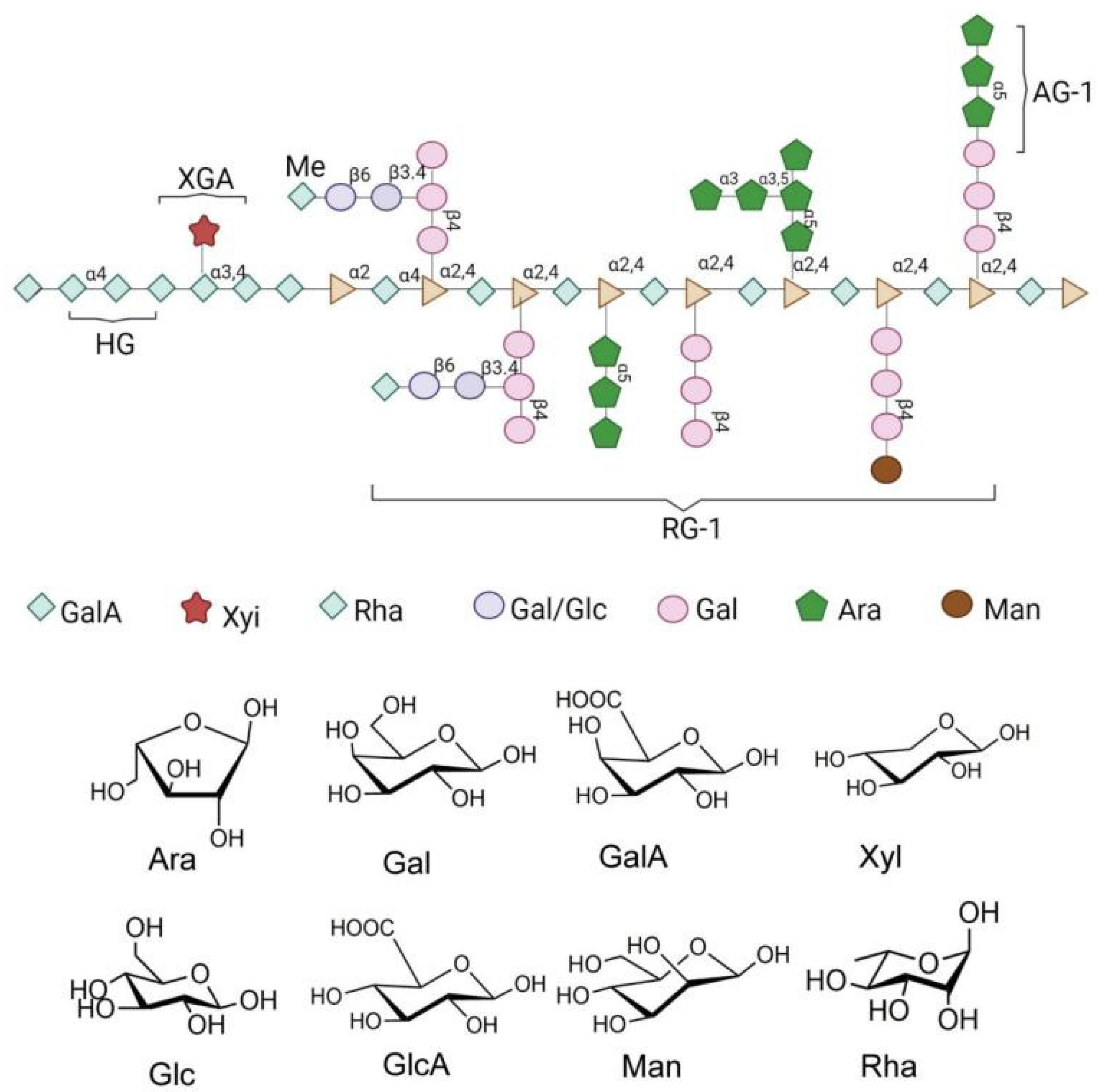 Progress in Research on the Alleviation of Glucose