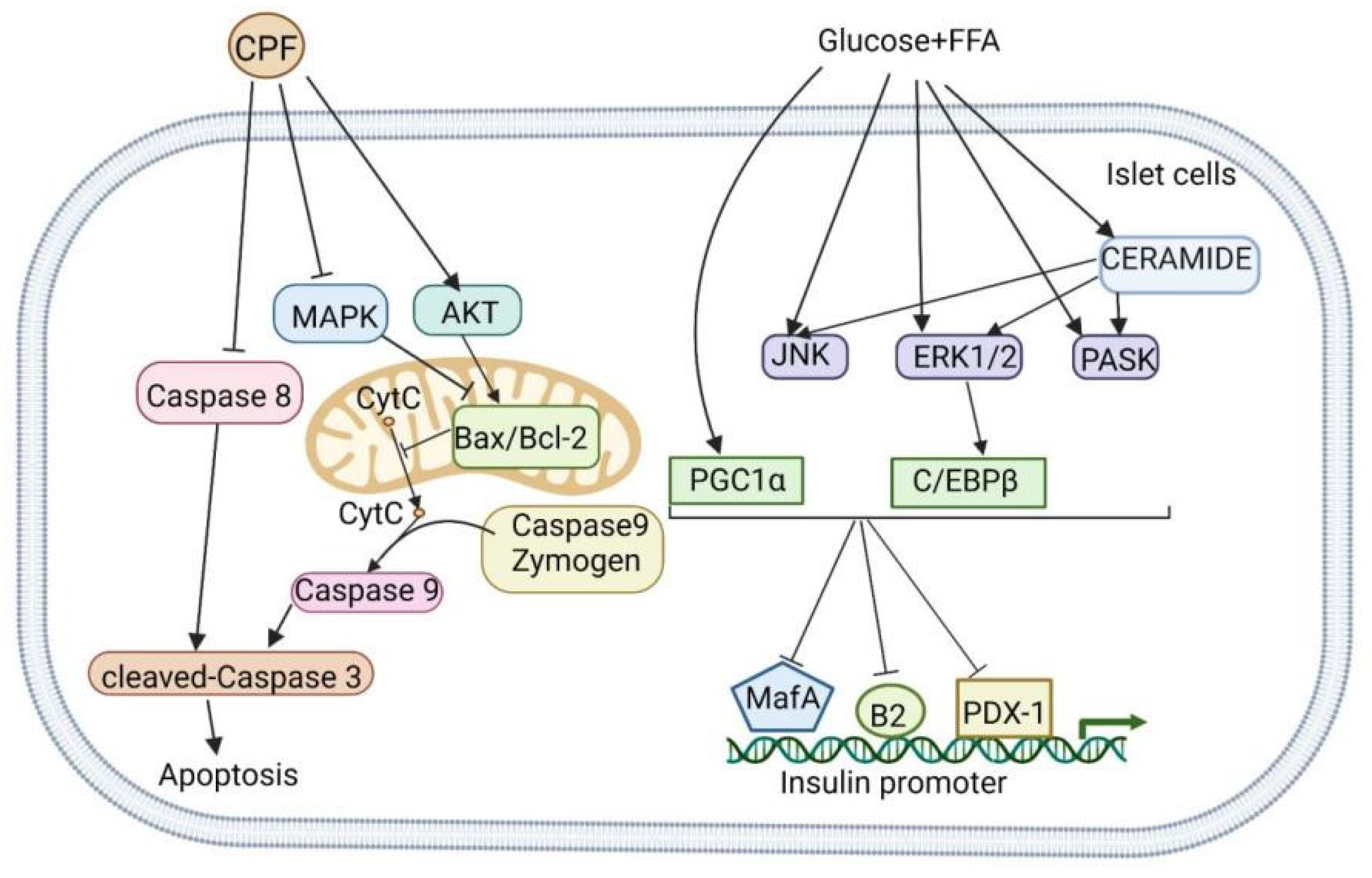 Nutrients 14 03169 g006 Nutrients 14 03169 g006