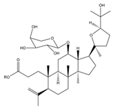 Nutrients 14 03169 i009 Nutrients 14 03169 i009